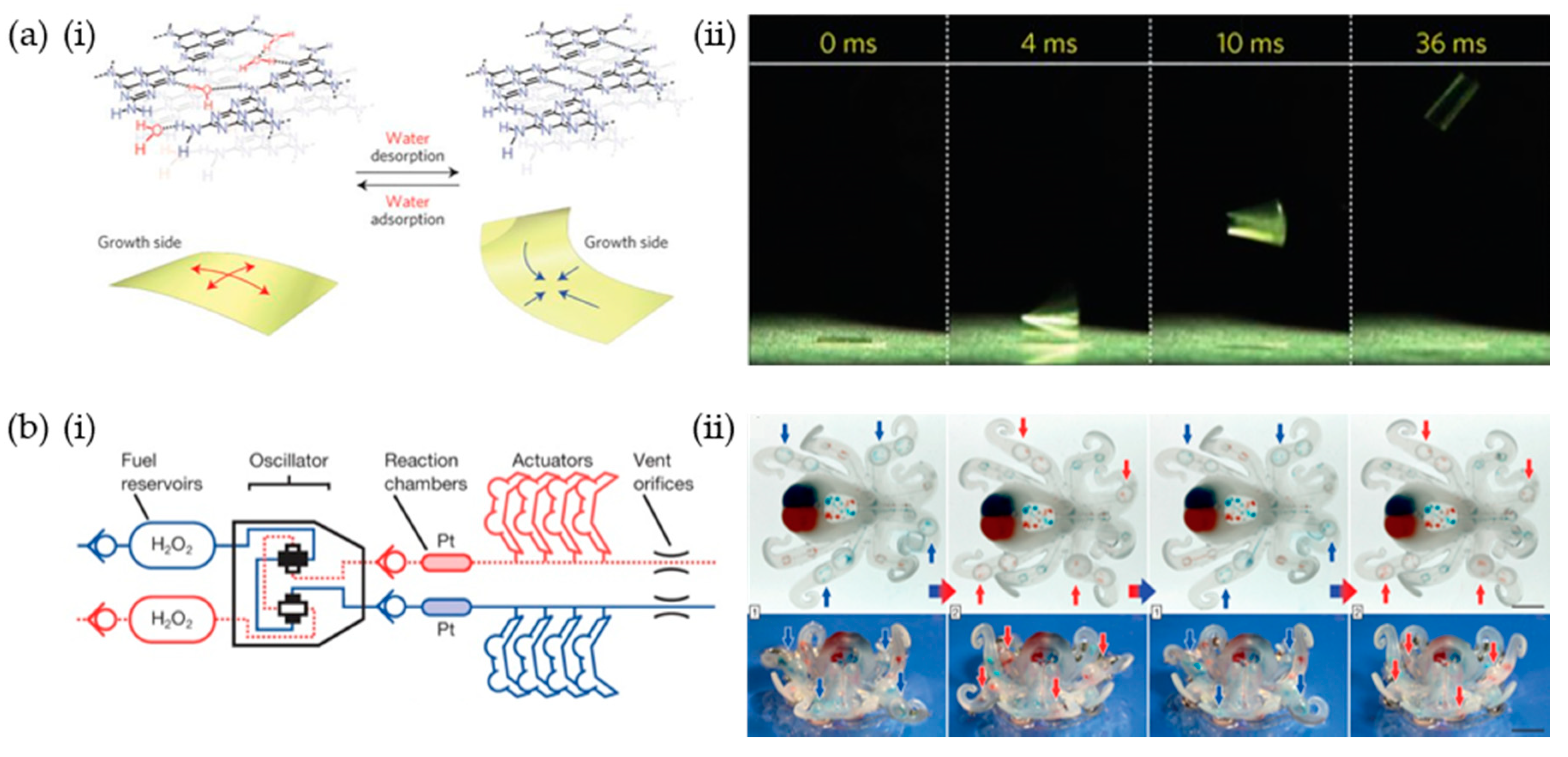 Materials 12 03065 g012