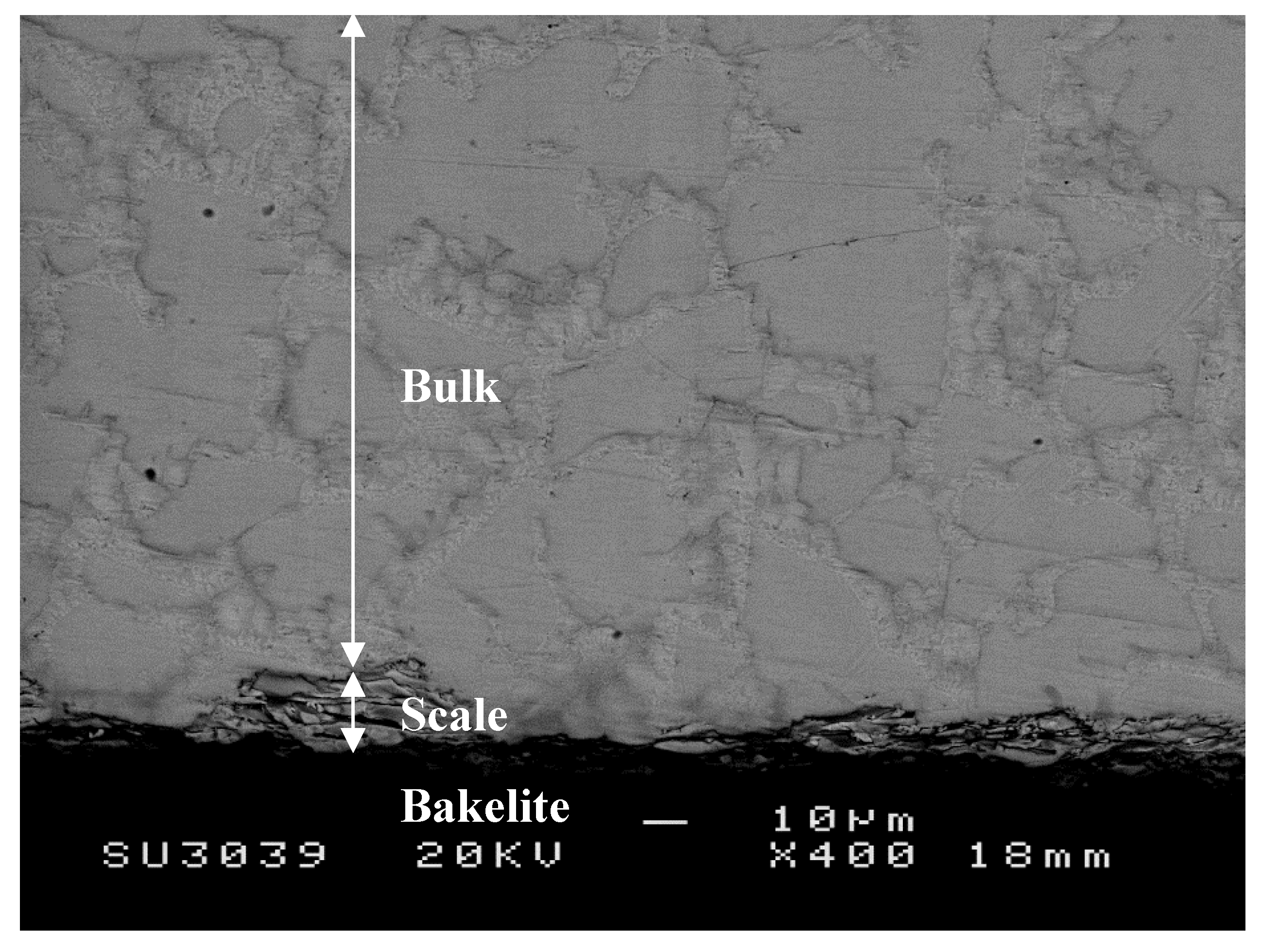 Materials 12 03120 g008