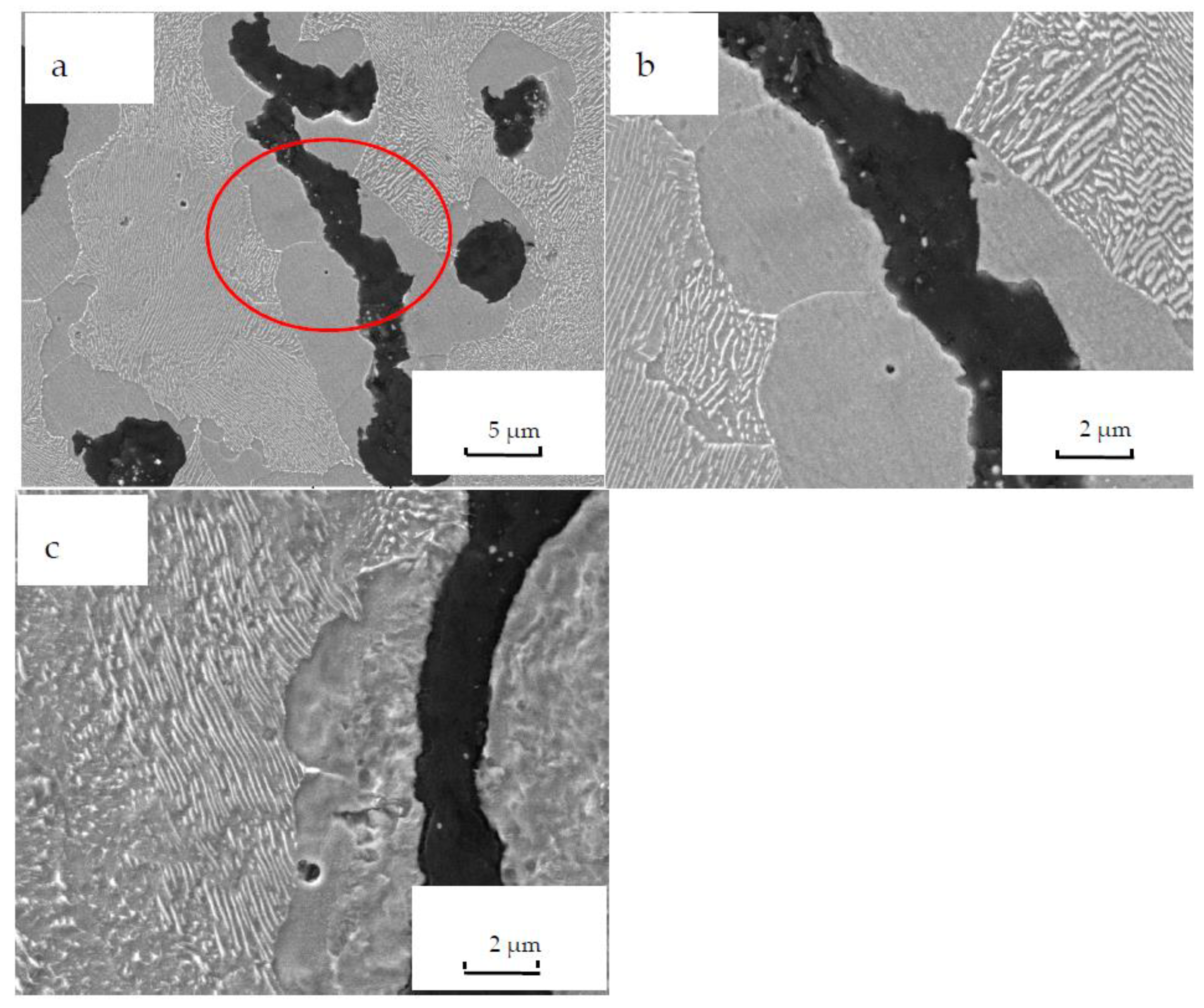 Materials 12 03130 g006