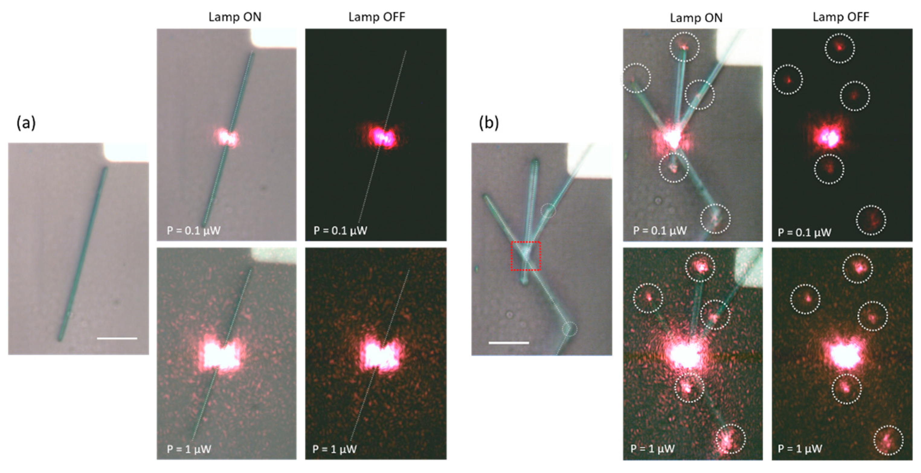 Materials 12 03148 g002 Materials 12 03148 g002
