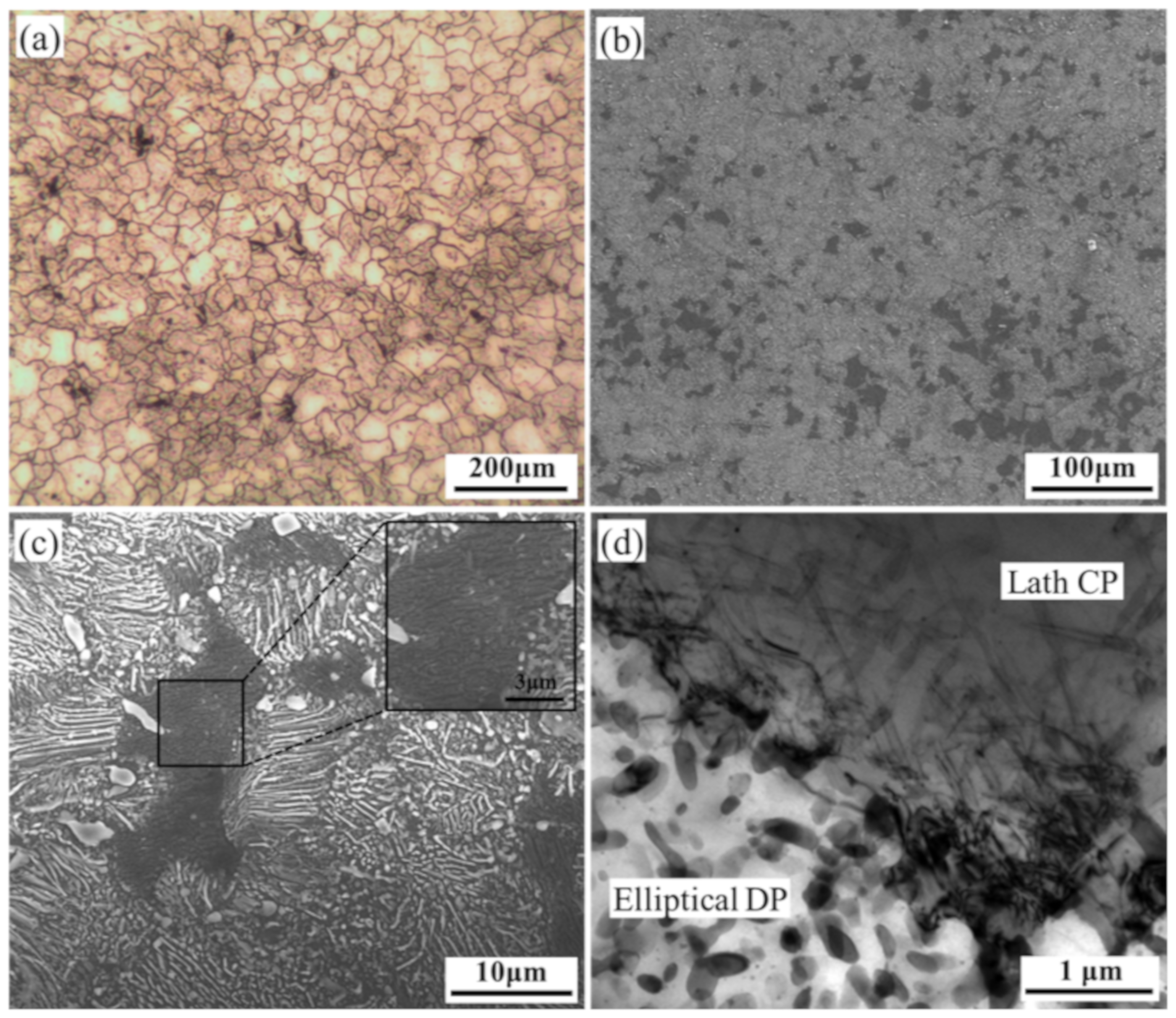 Materials 12 03214 g001