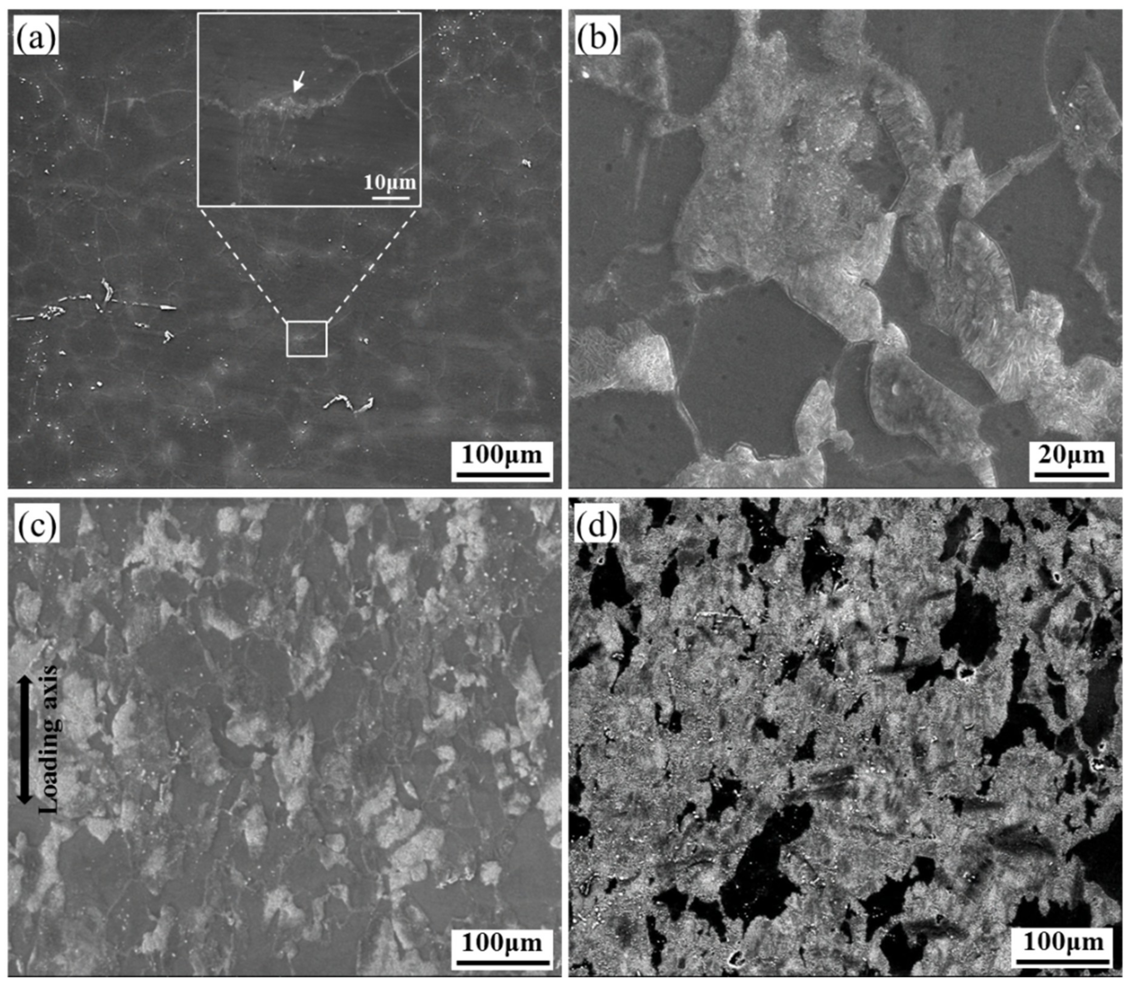 Materials 12 03214 g006