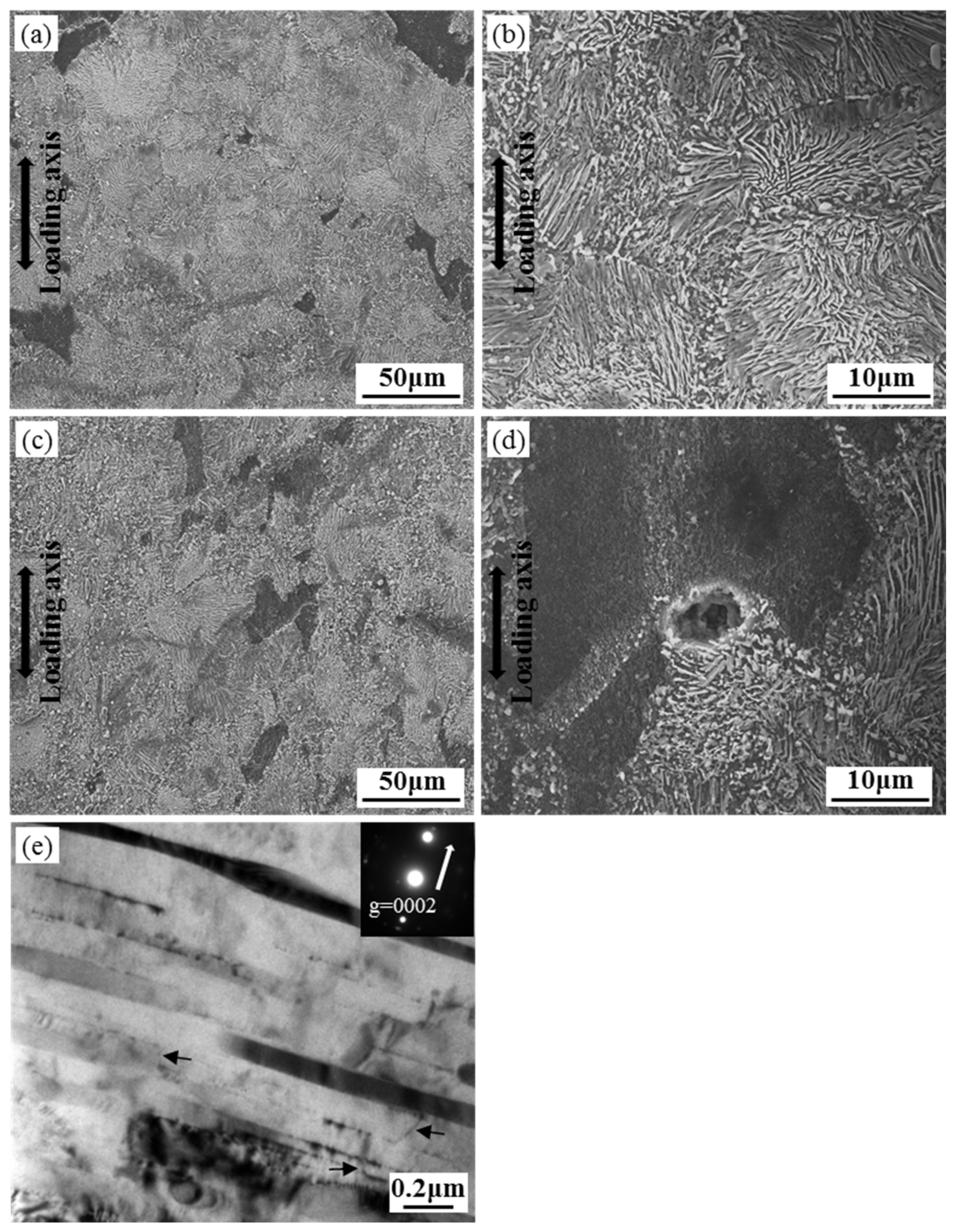 Materials 12 03214 g008