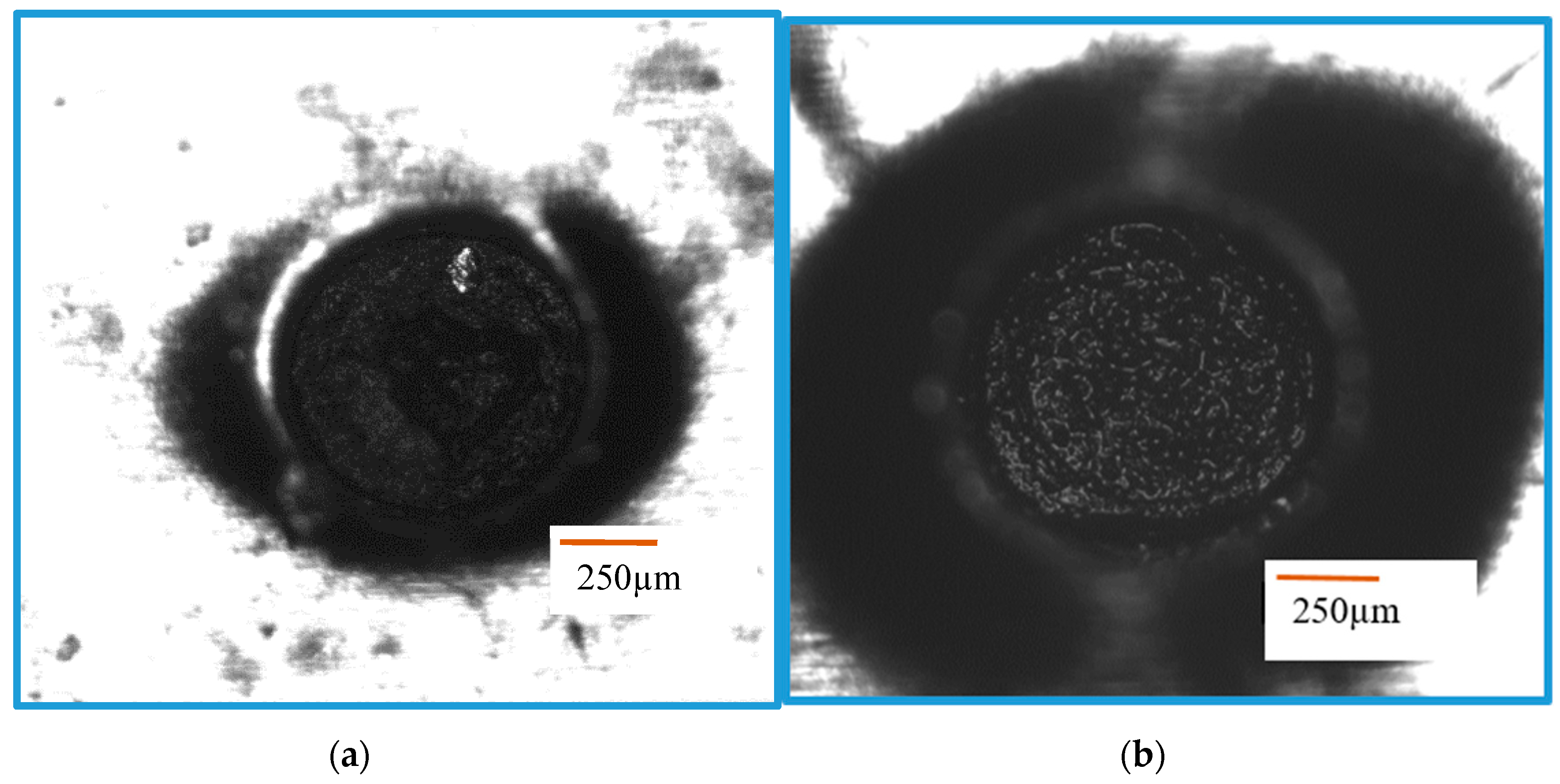 Materials 12 03316 g003a