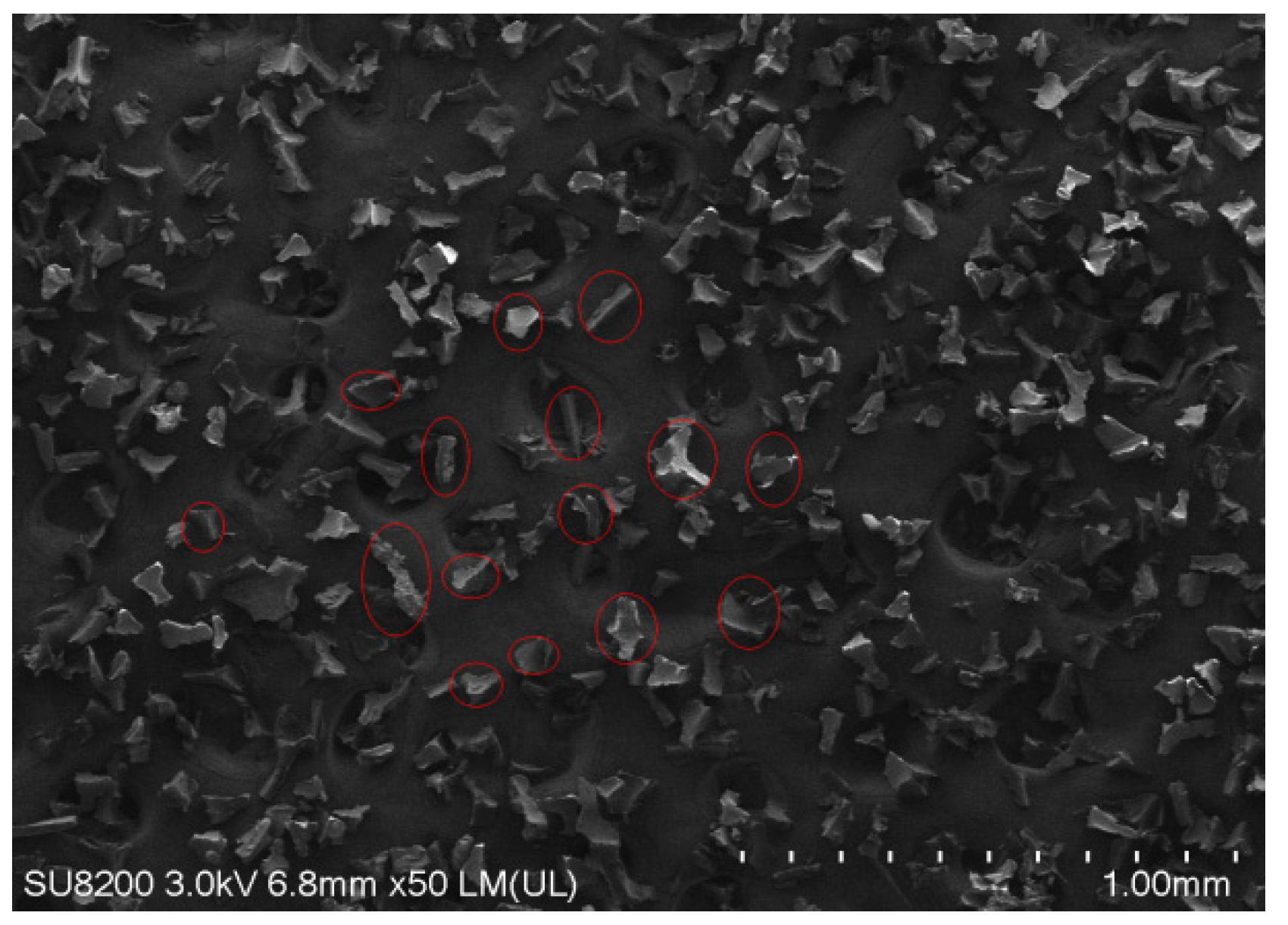 Materials 12 03350 g005