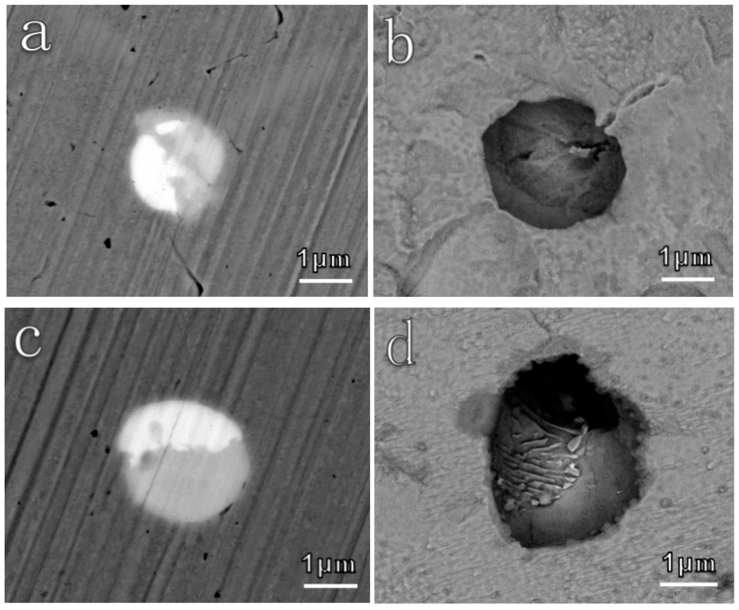 Materials 12 03359 g009 Materials 12 03359 g009