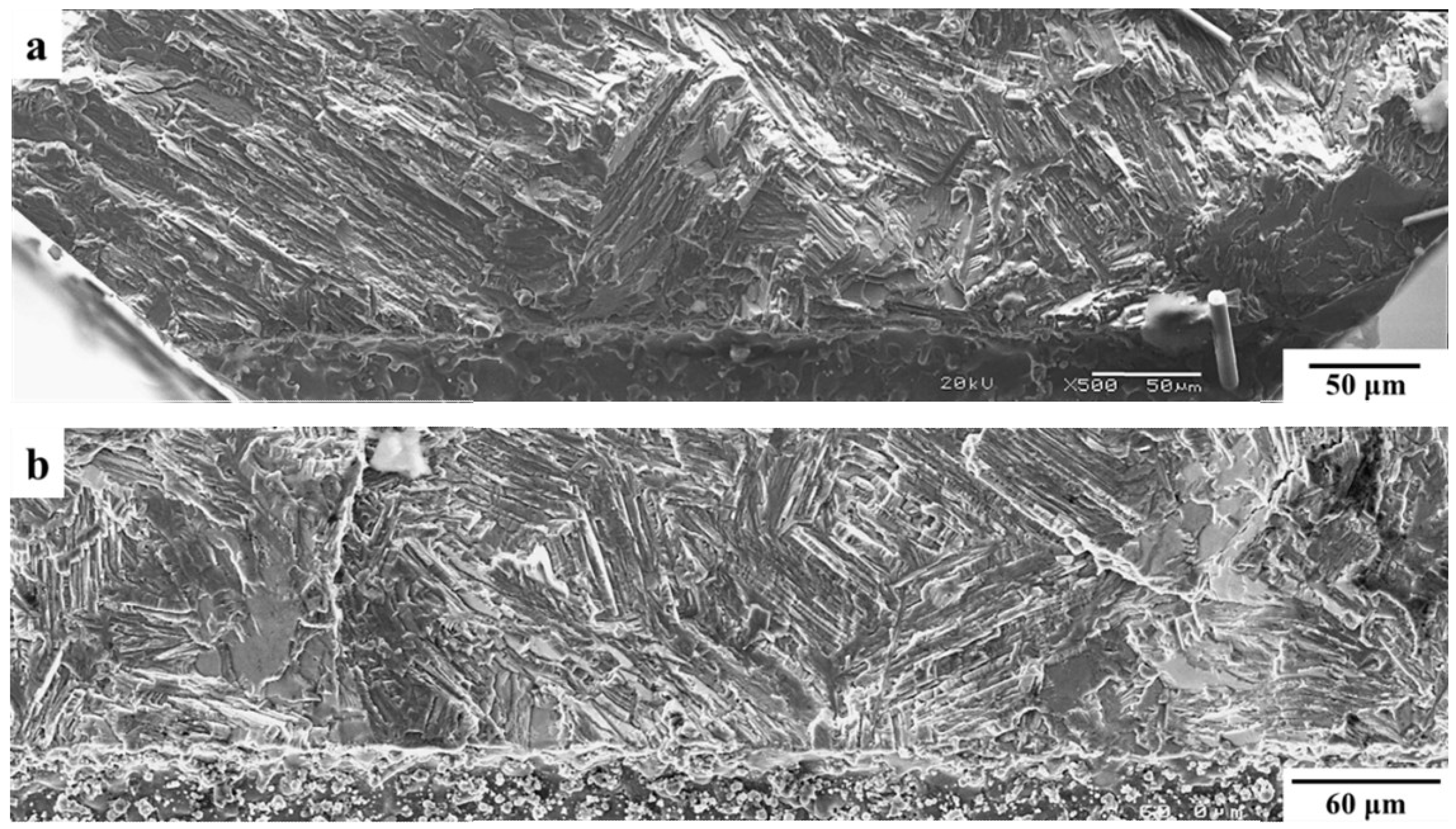 Materials 12 03487 g005