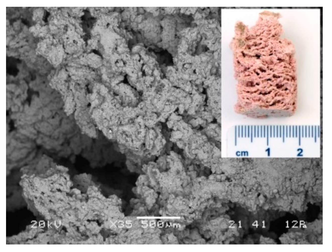 Materials 12 03563 g014