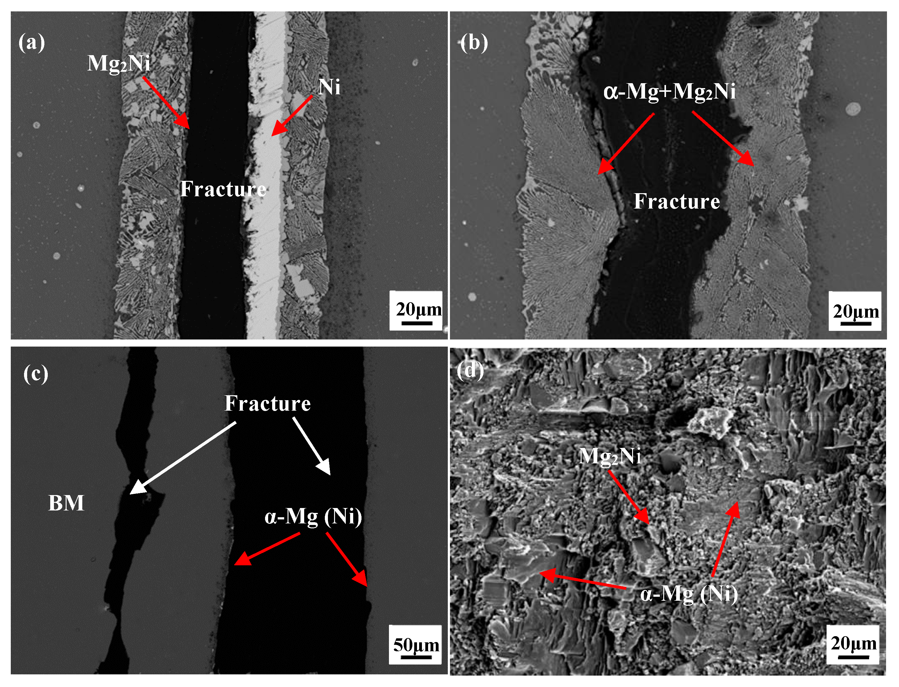 Materials 12 03732 g007 Materials 12 03732 g007