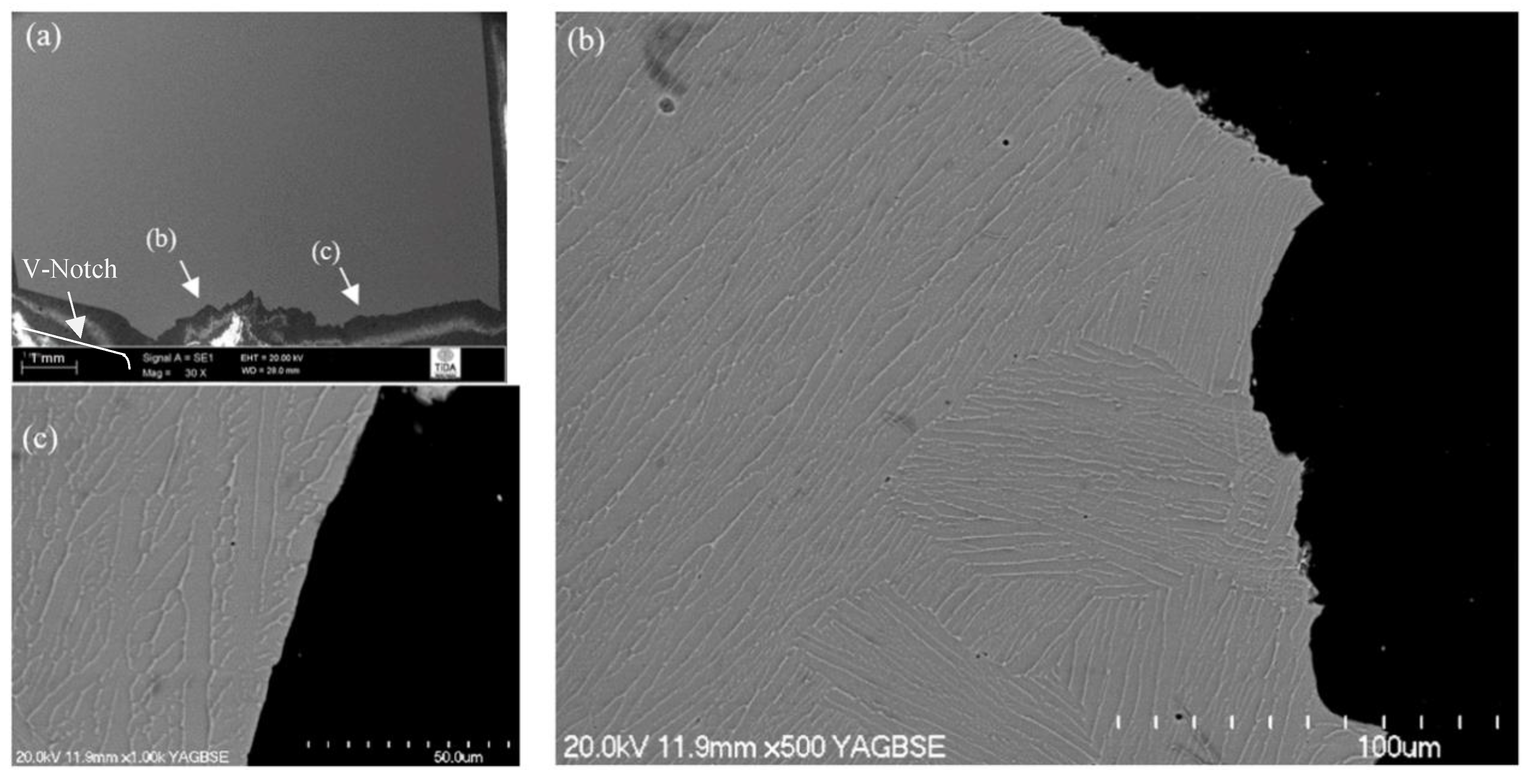 Materials 12 03824 g004