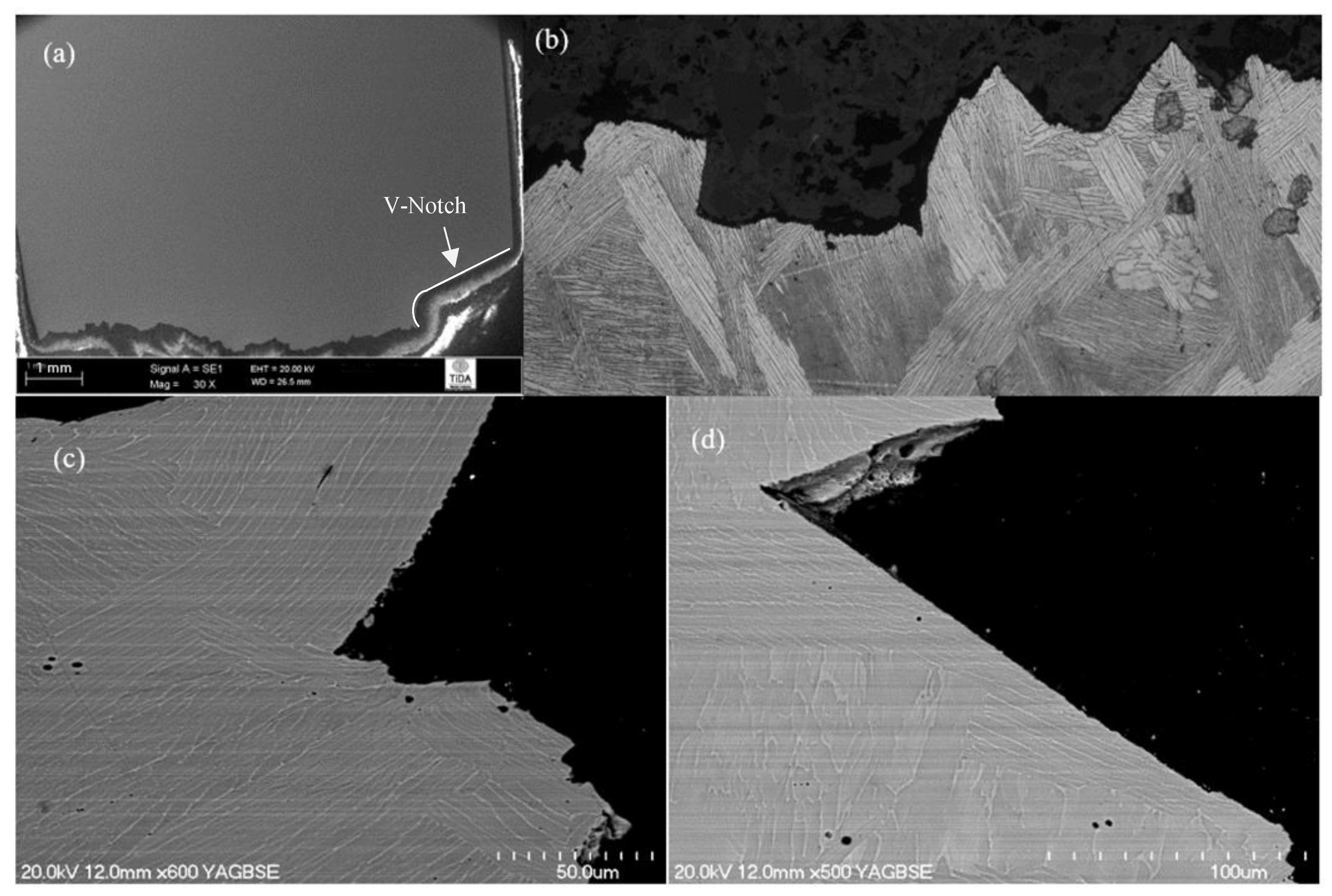 Materials 12 03824 g005