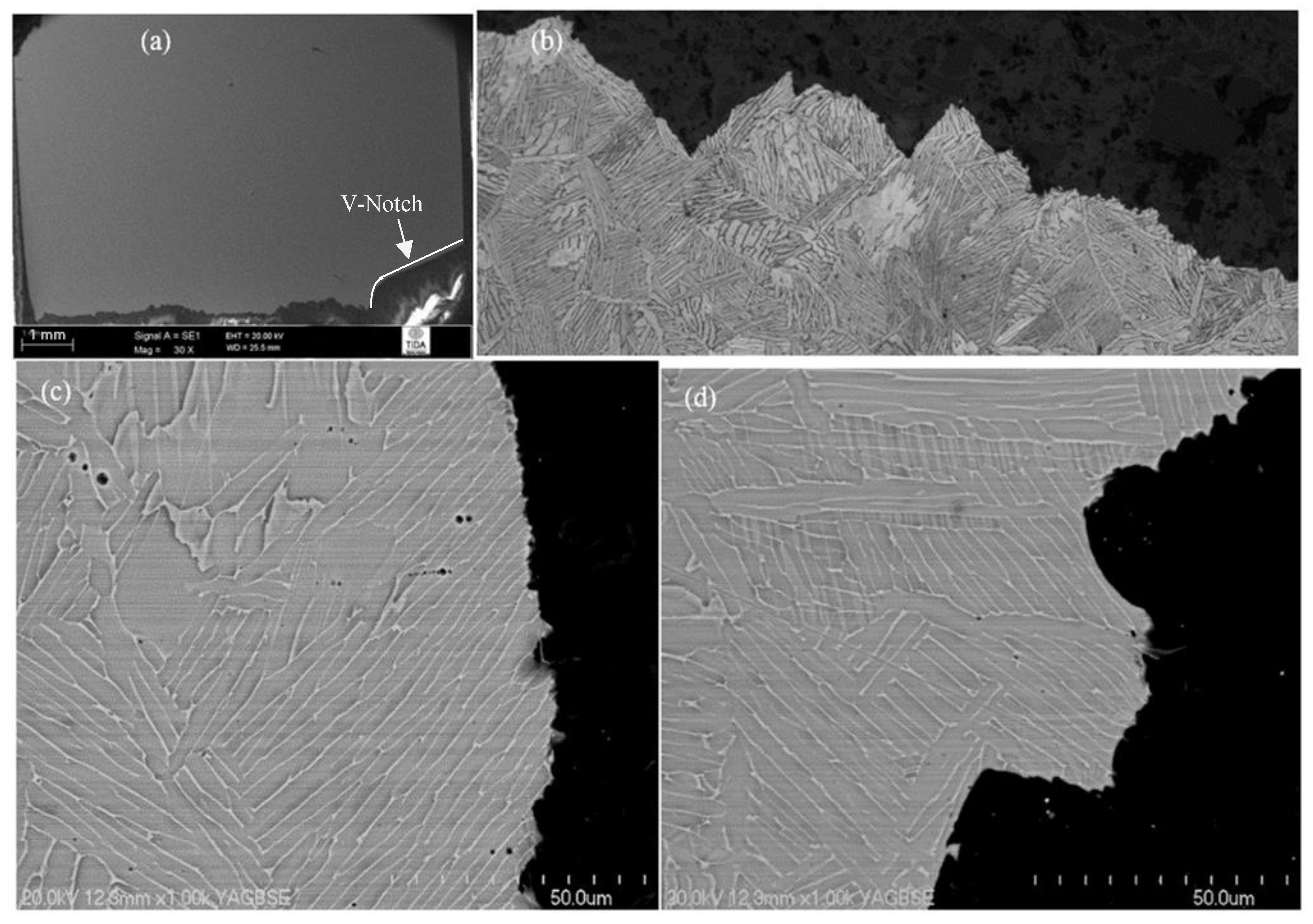 Materials 12 03824 g006