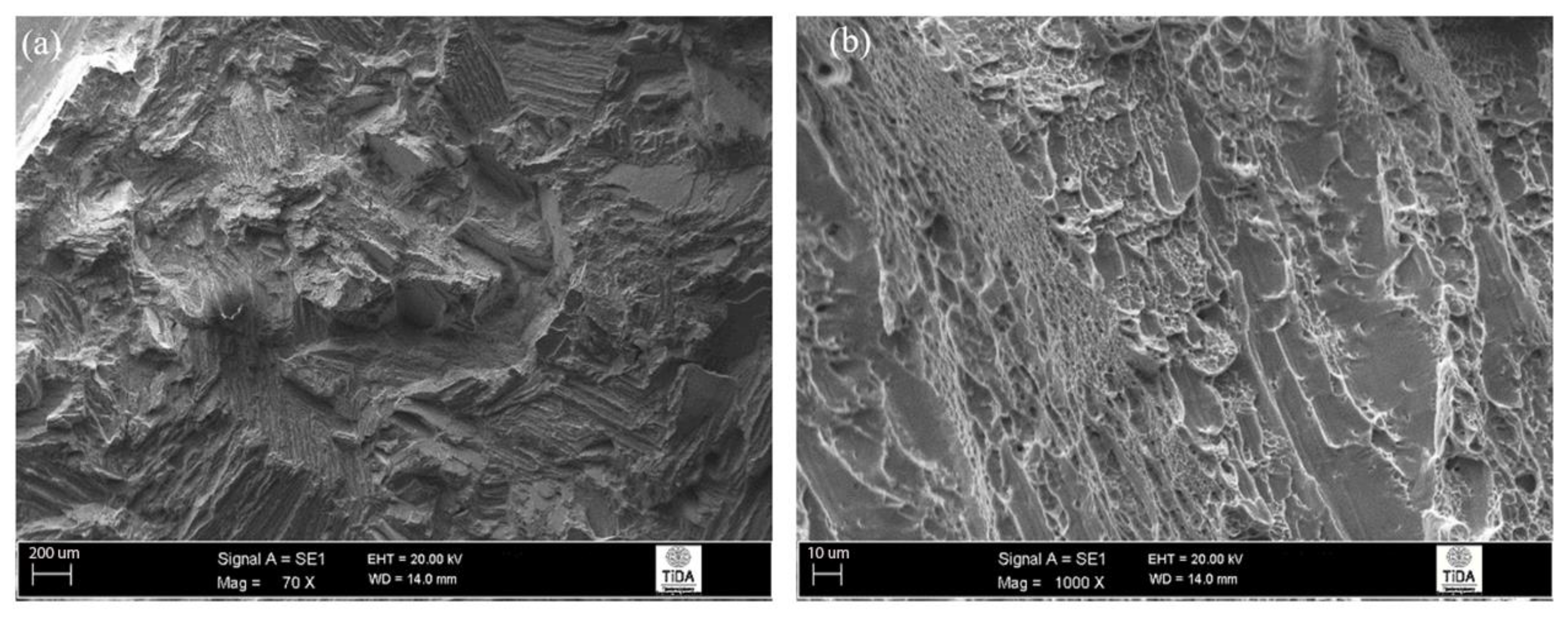 Materials 12 03824 g010