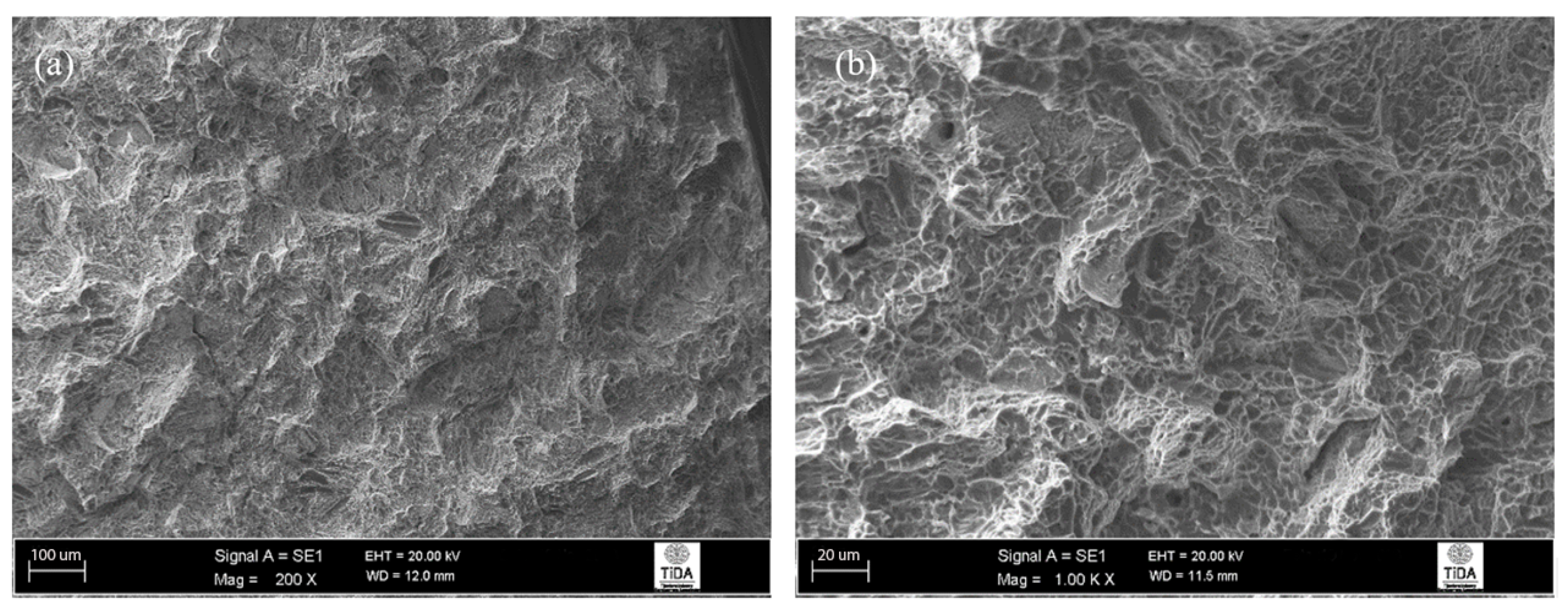 Materials 12 03824 g011