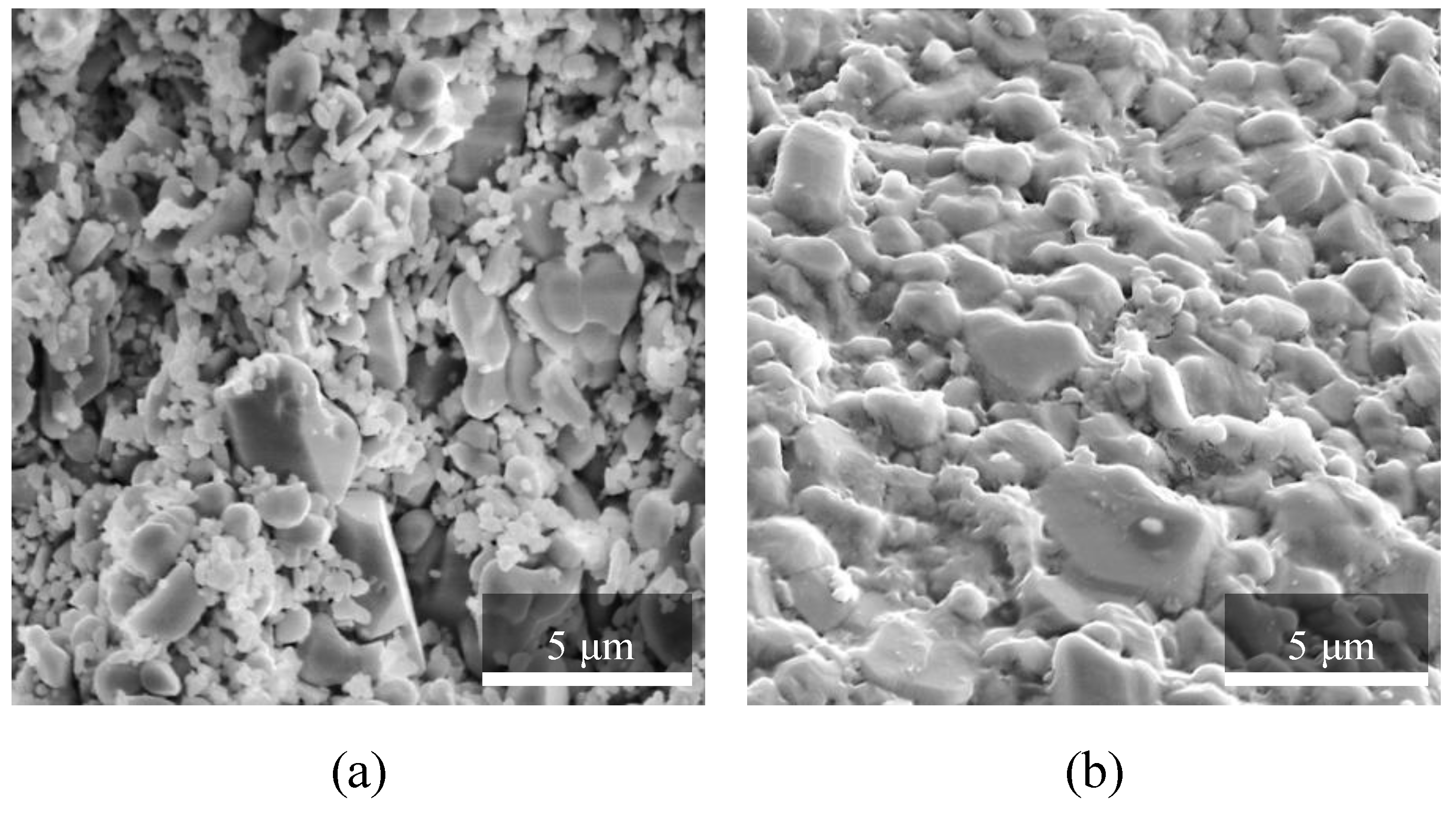 Materials | Free Full-Text | Towards Creation of Ceramic-Based Low ...