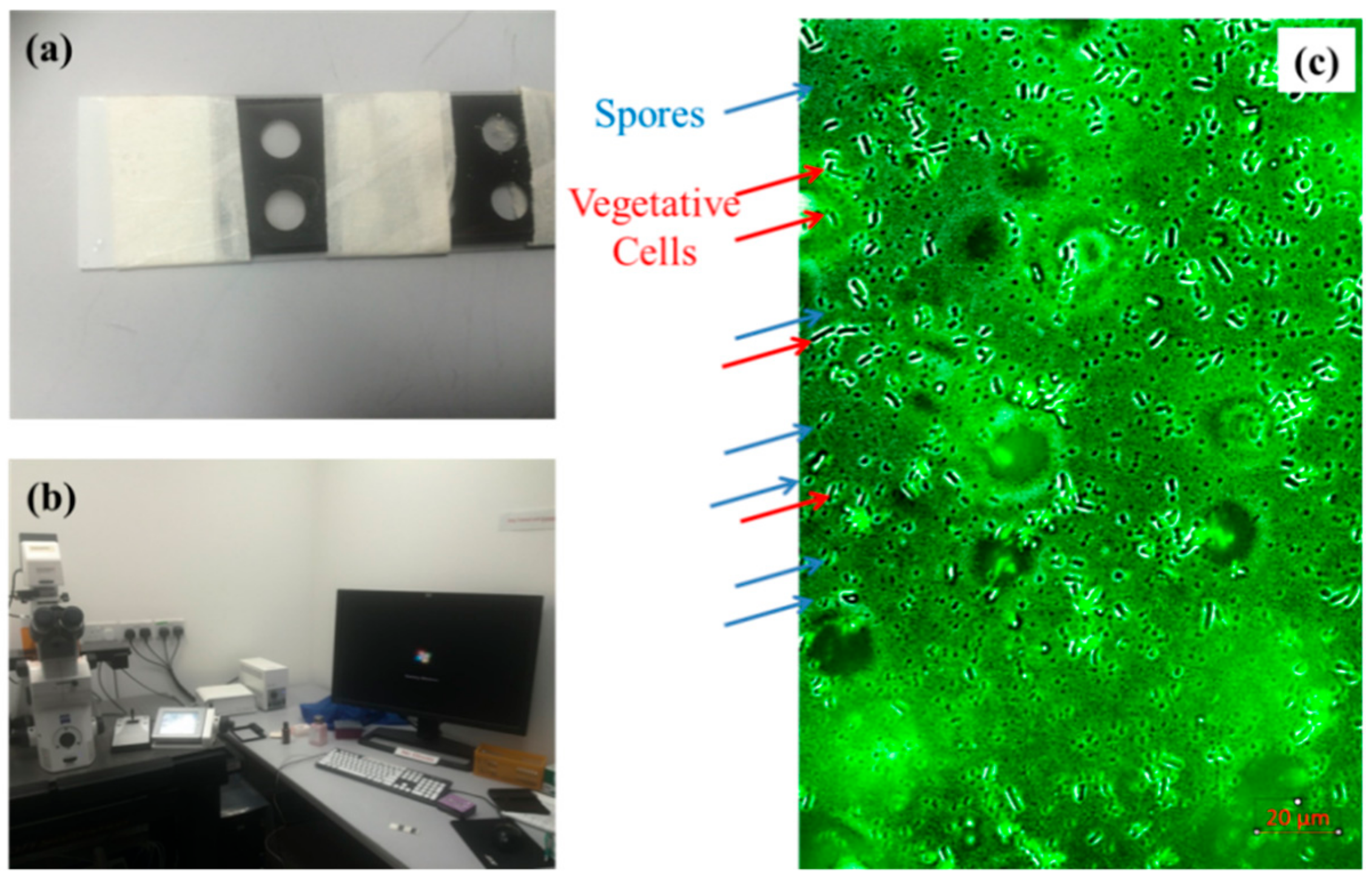 Materials 12 03912 g001