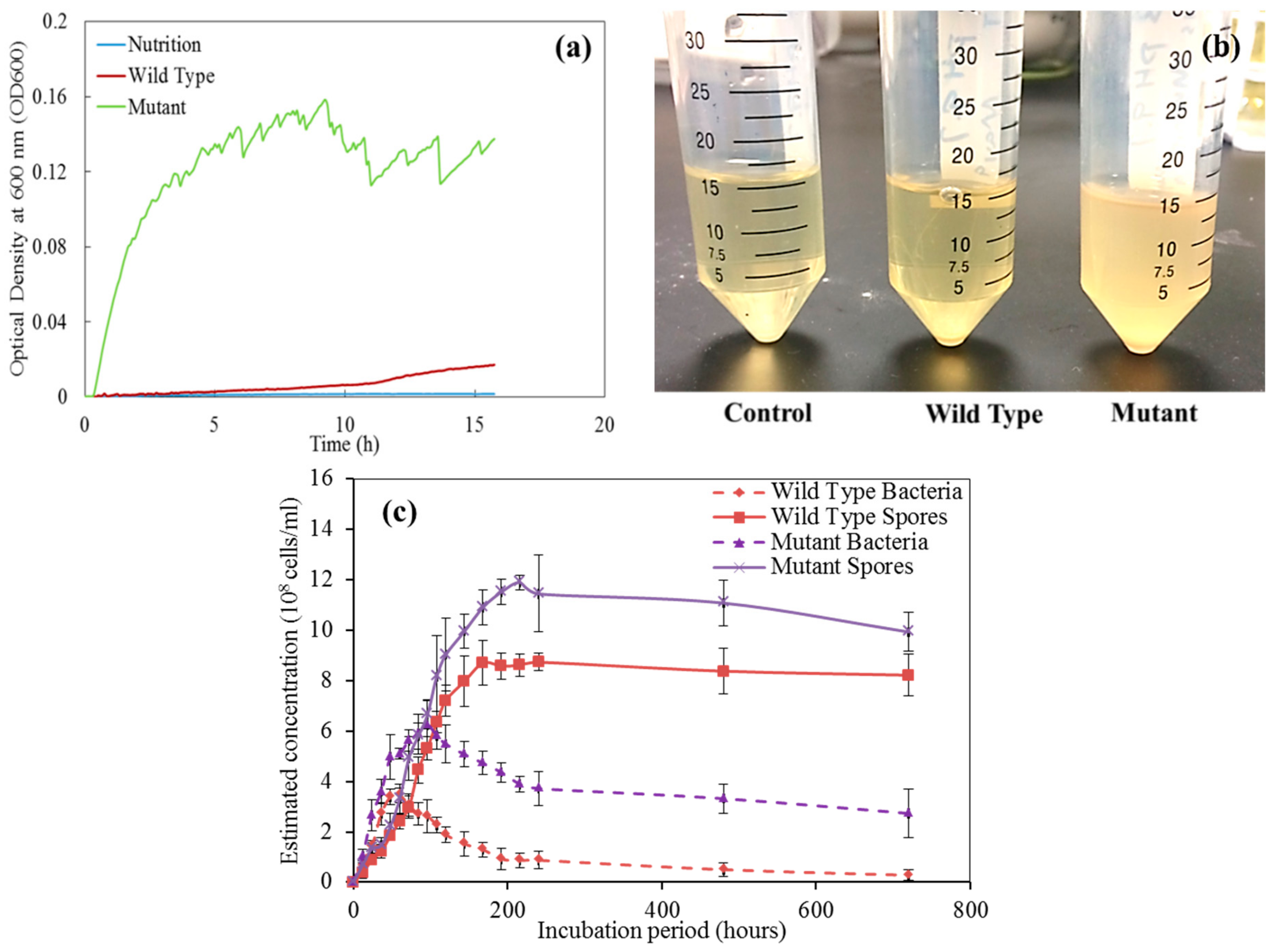 Materials 12 03912 g004