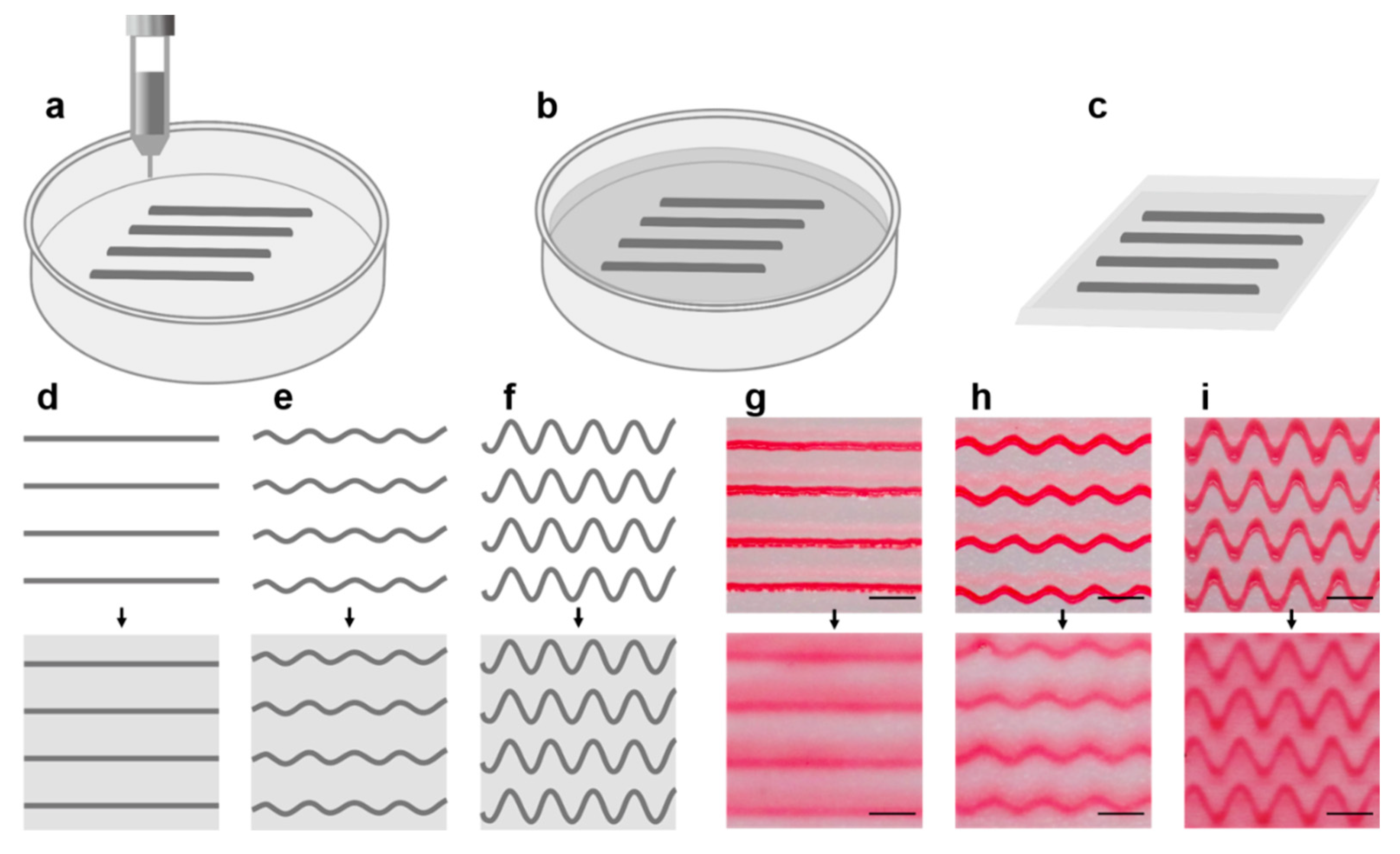 Isotropy in 3D Printing: The Complete Guide - 3Dnatives