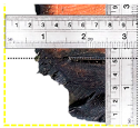 Materials 12 04003 i012 Materials 12 04003 i012