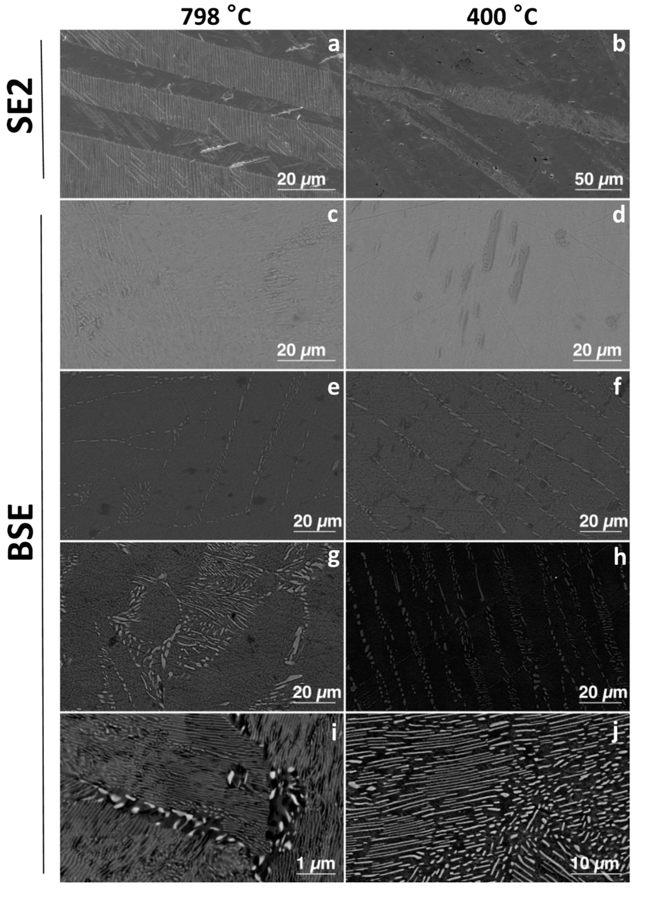 Materials Free Full Text Development Of Antibacterial Ti Cux Alloys For Dental Applications Effects Of Ageing For Alloys With Up To 10 Wt Cu