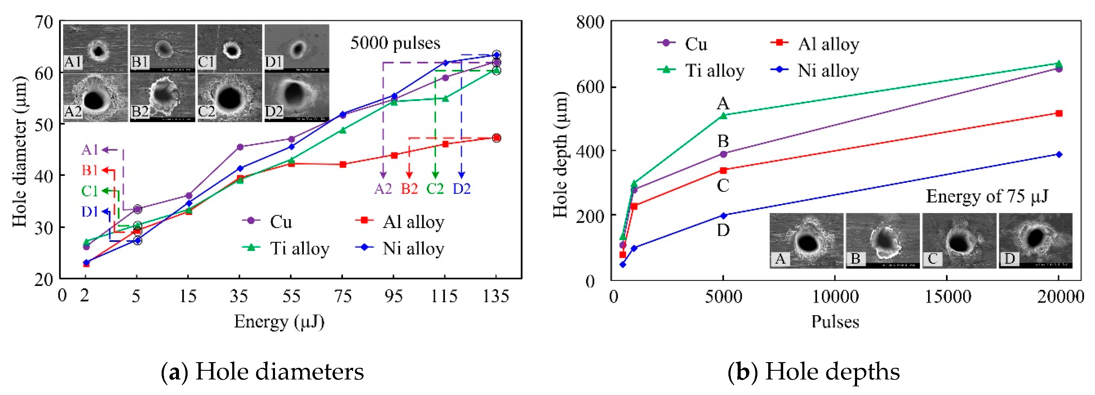 Materials 13 00031 g002