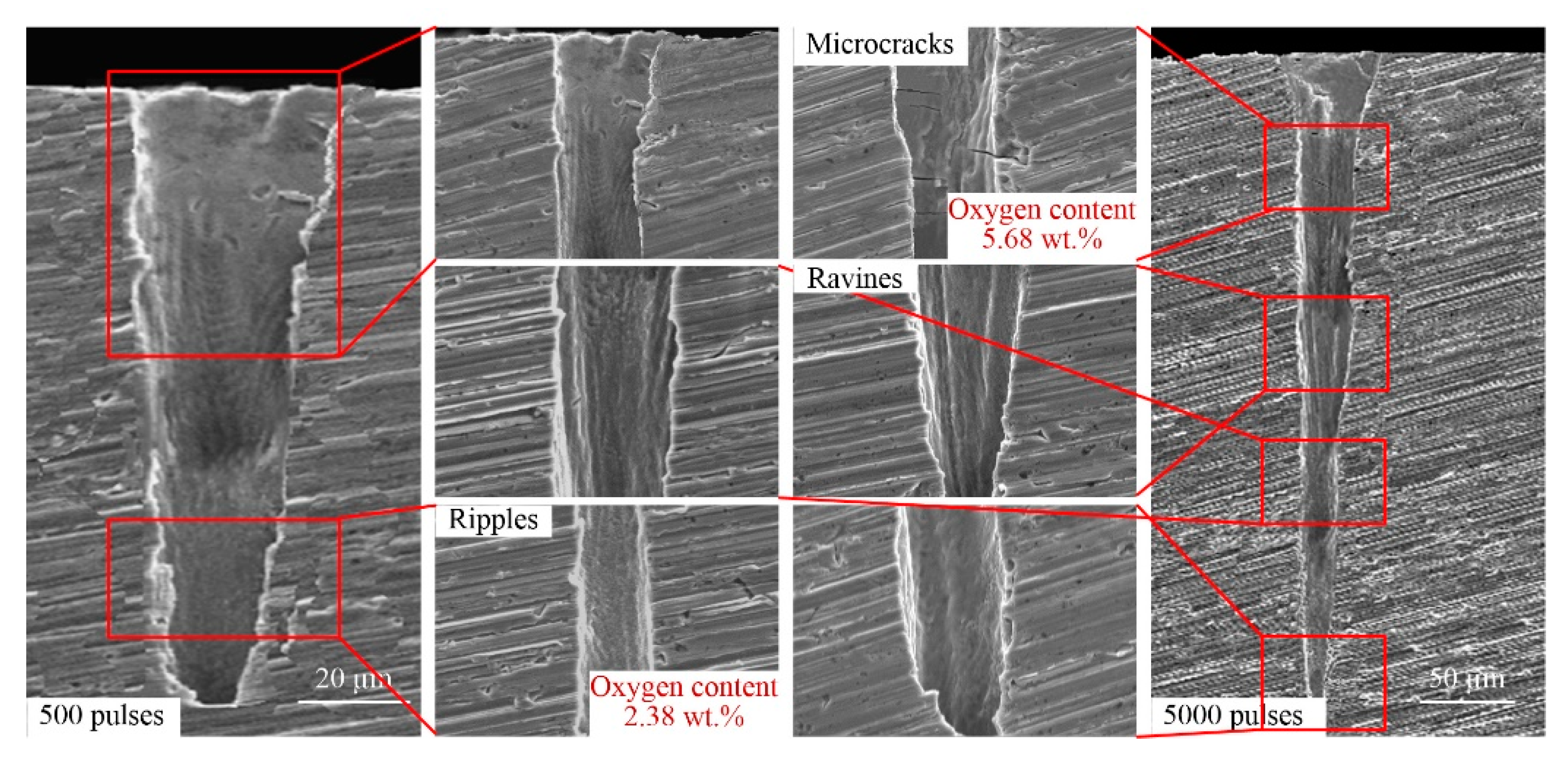 Materials 13 00031 g007