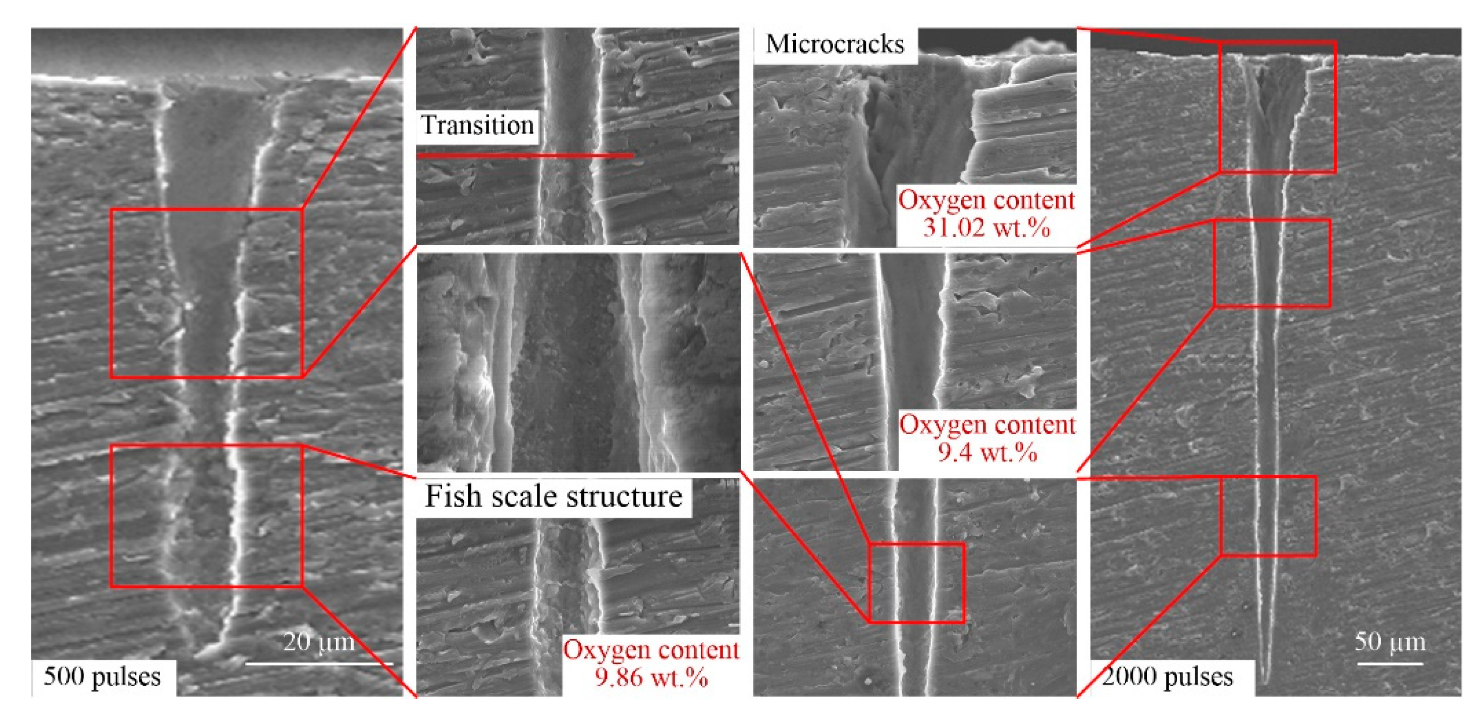 Materials 13 00031 g008