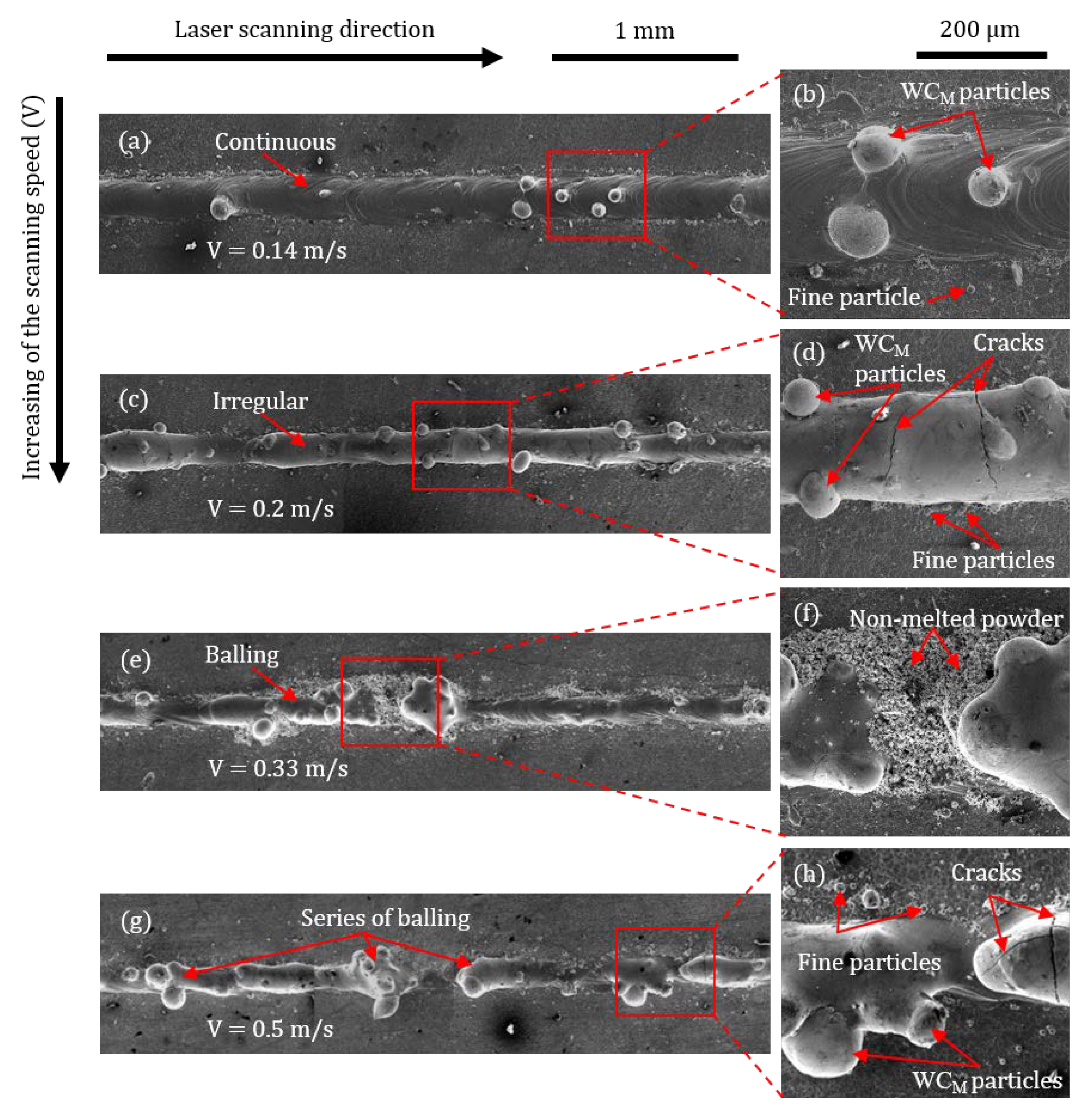Materials 13 00050 g002