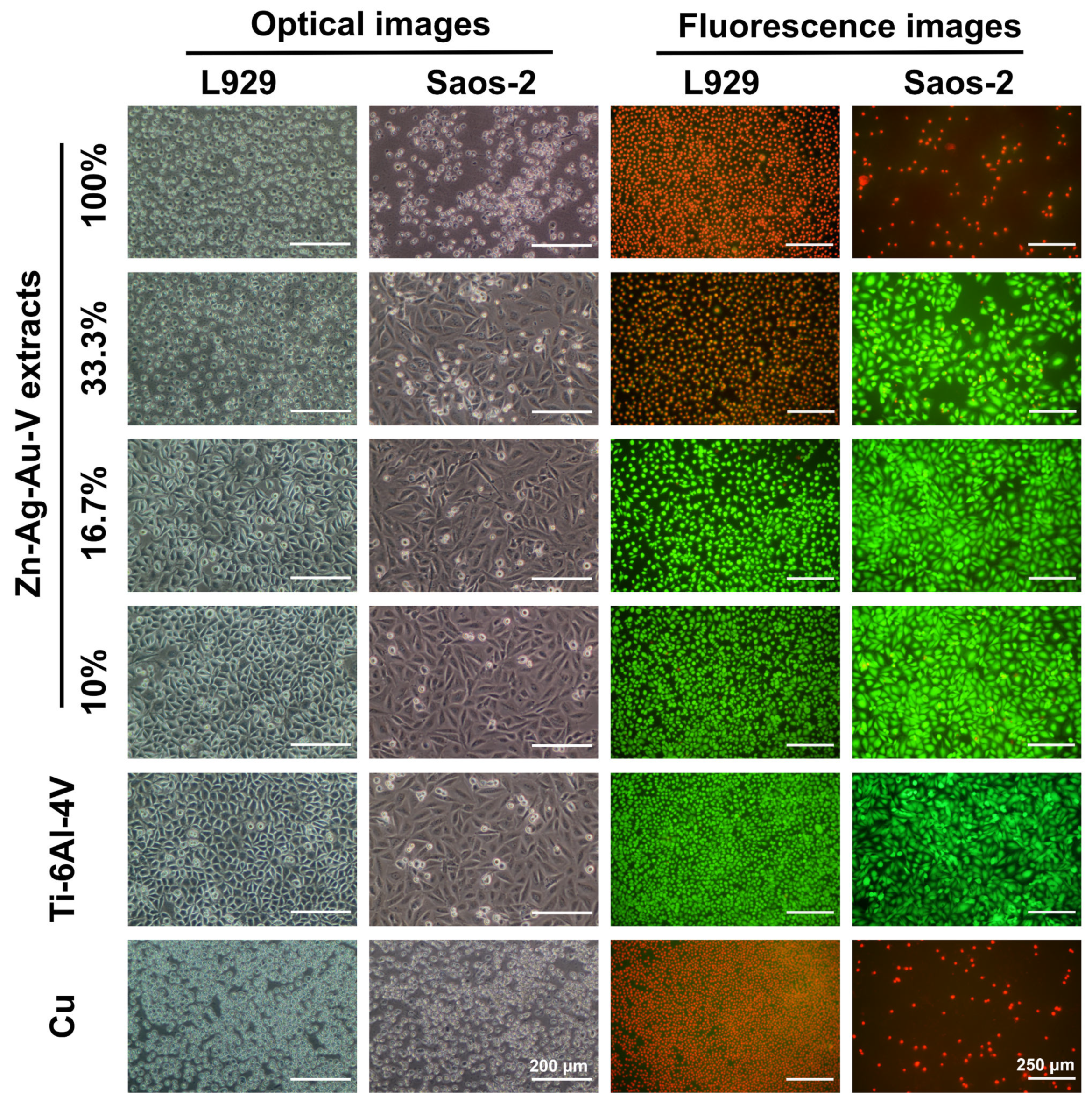 Materials 13 00056 g007