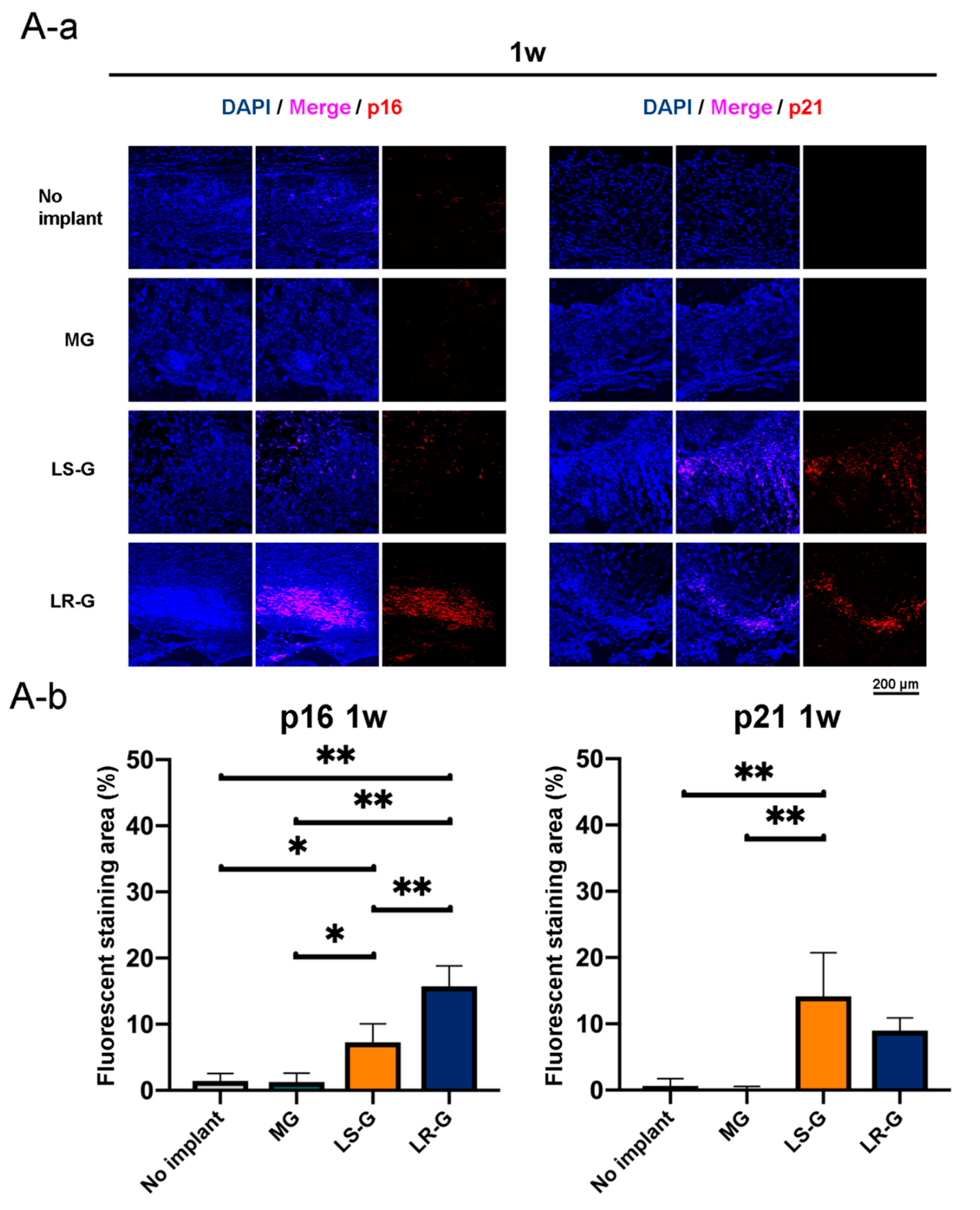 Materials 13 00095 g007a