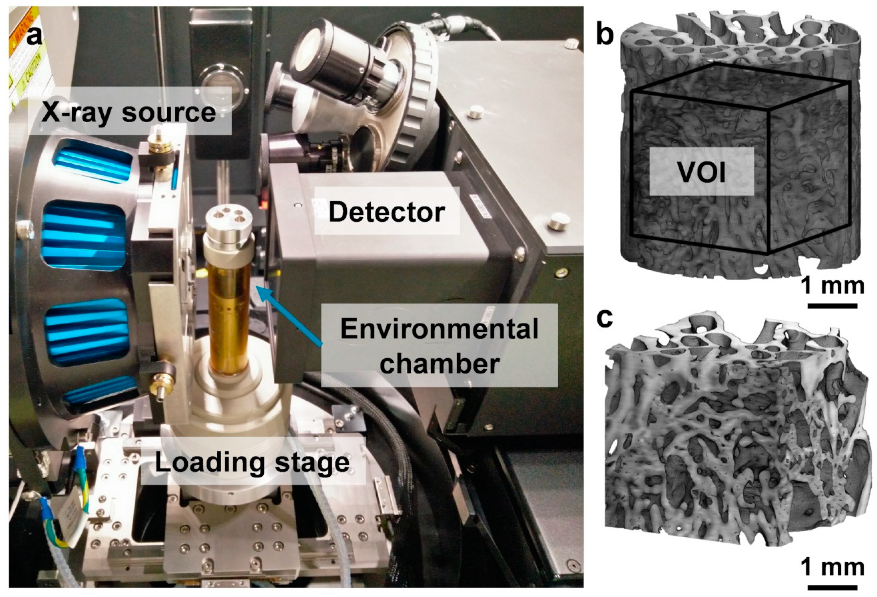 Materials 13 00168 g001 Materials 13 00168 g001