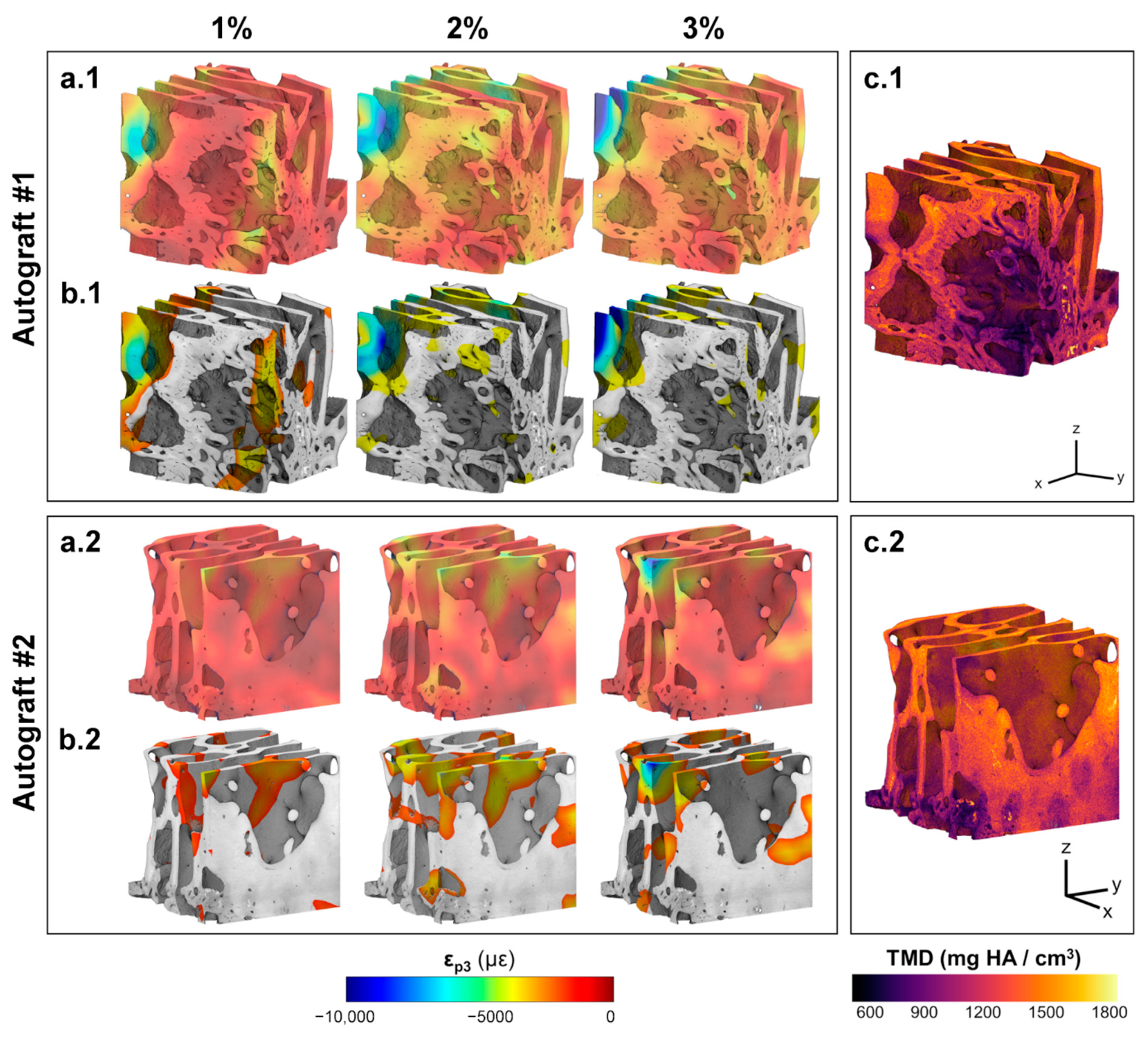 Materials 13 00168 g005 Materials 13 00168 g005