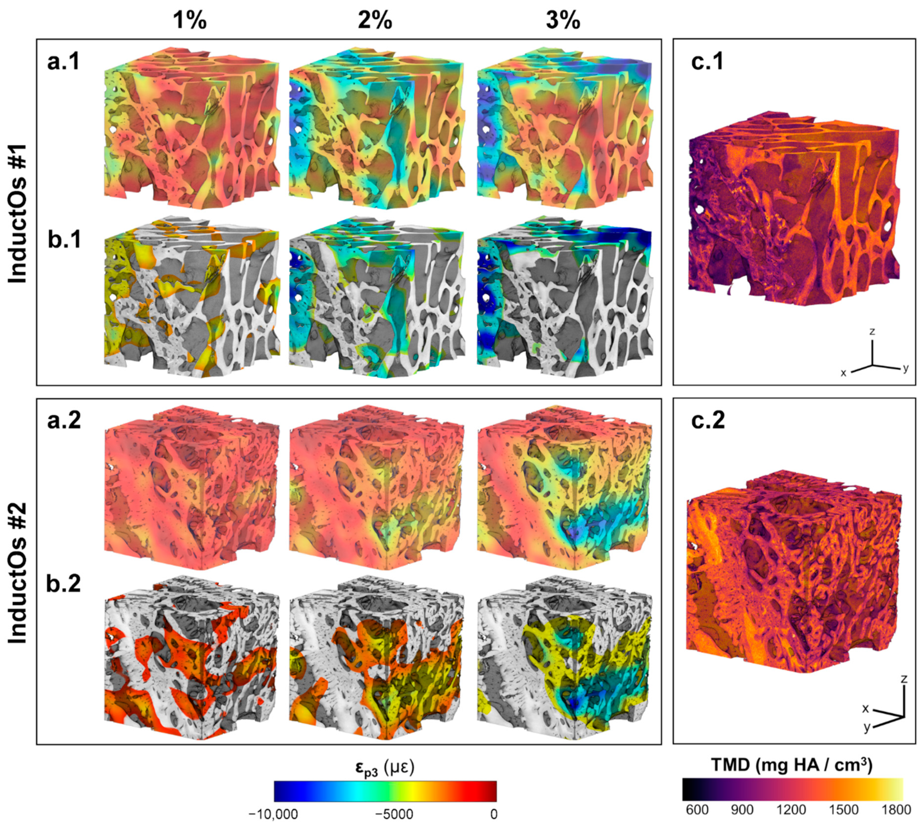 Materials 13 00168 g006 Materials 13 00168 g006