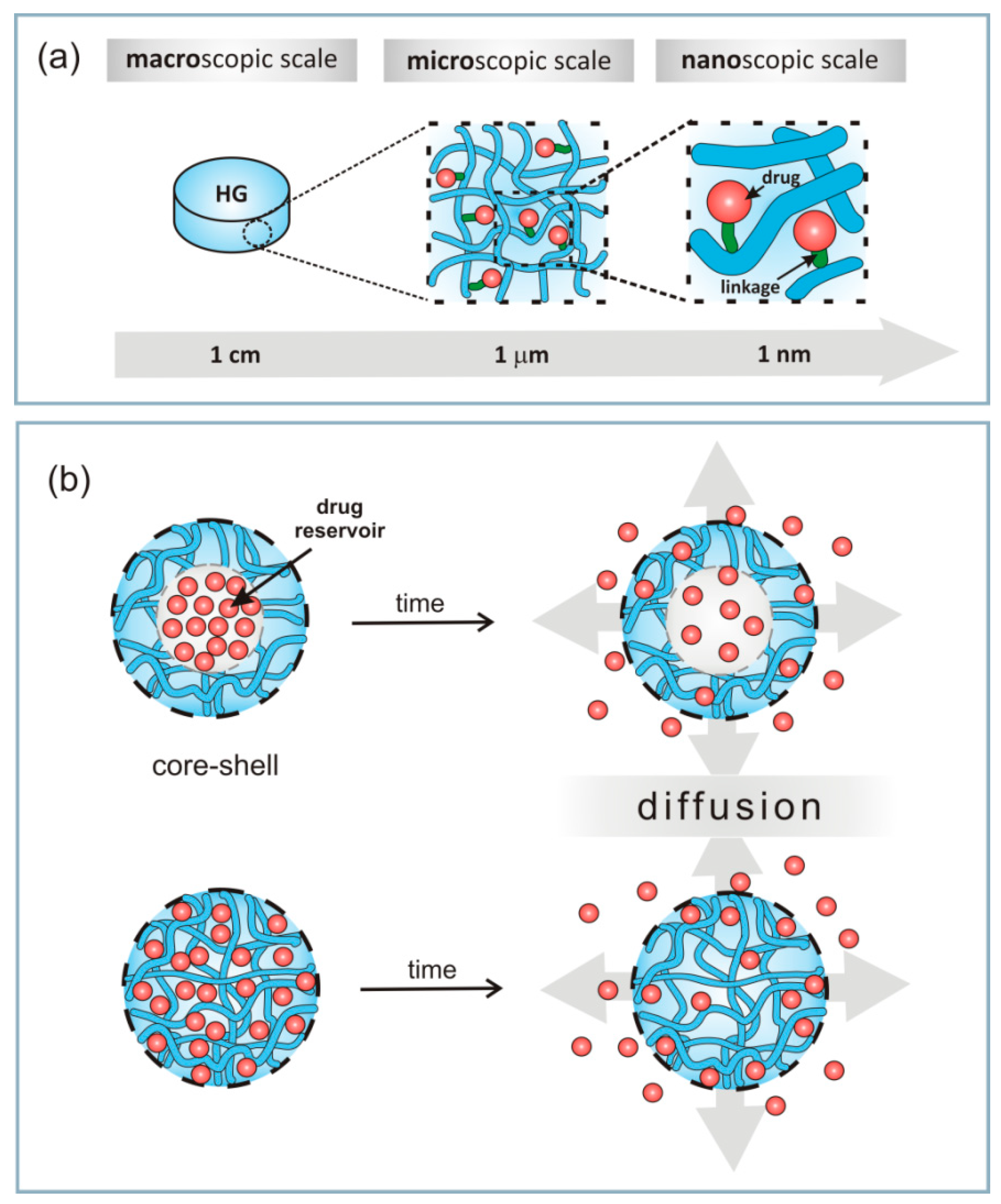 Materials Free Full Text Hydrogels As Potential Nano Micro And Macro Scale Systems For Controlled Drug Delivery Html