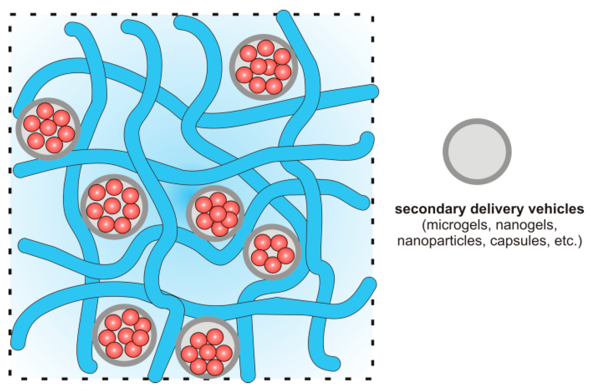 Hydrogels as Potential Nano-, Micro- and Macro-Scale Systems for