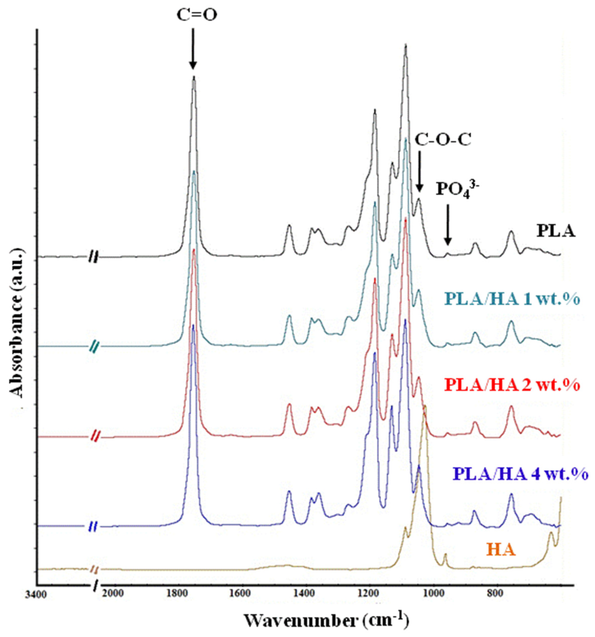 Progress in Hydroxyapatite–Starch Based Sustainable Biomaterials