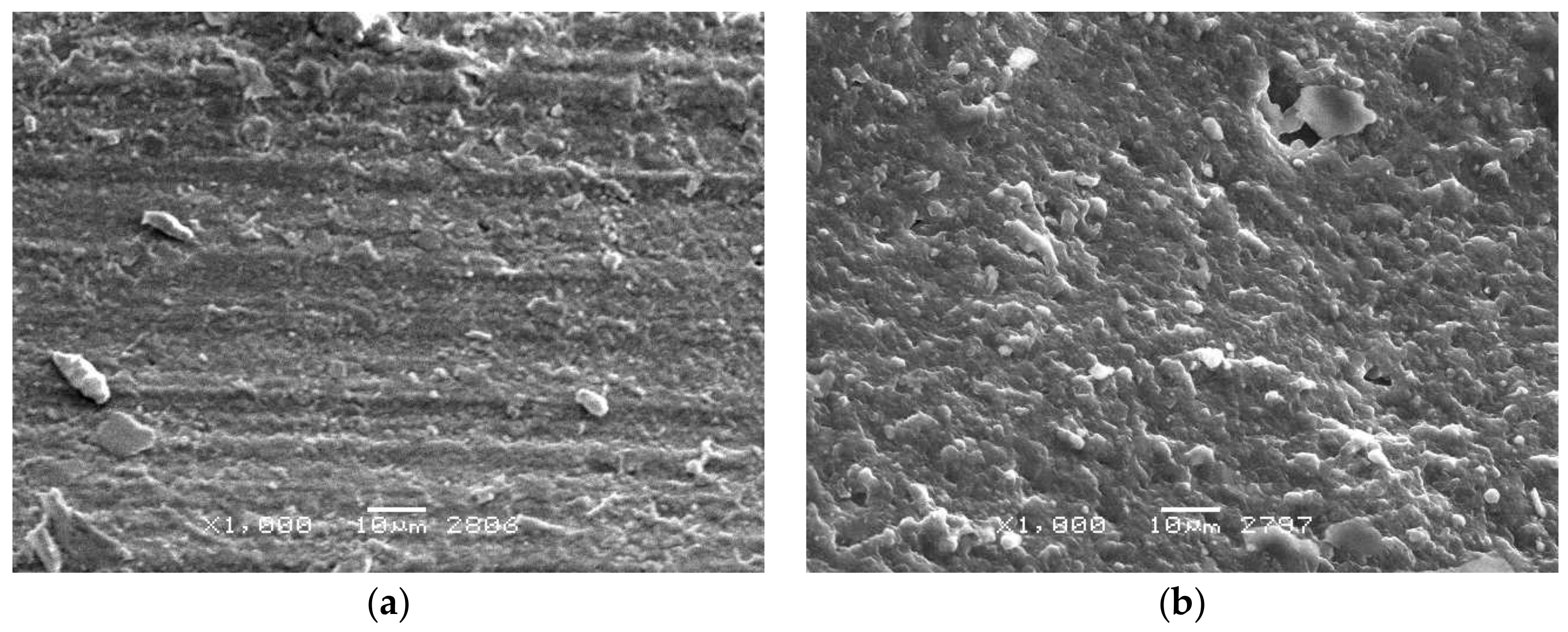 Materials 13 00311 g009 Materials 13 00311 g009