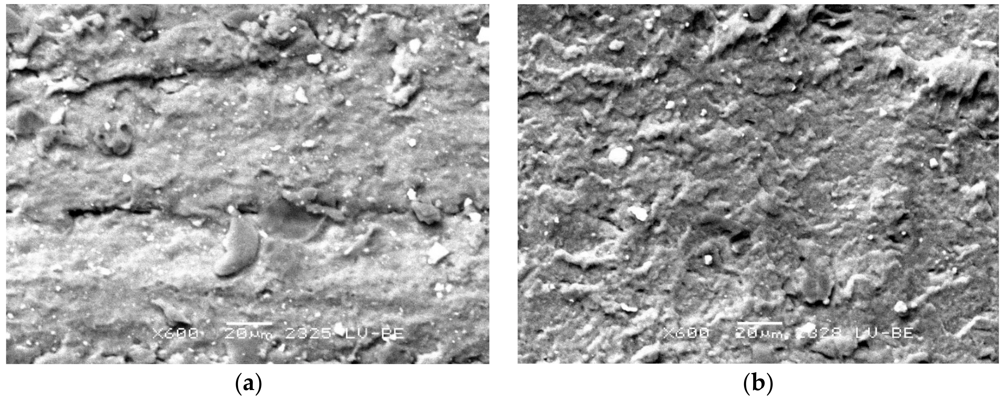 Materials 13 00311 g010 Materials 13 00311 g010