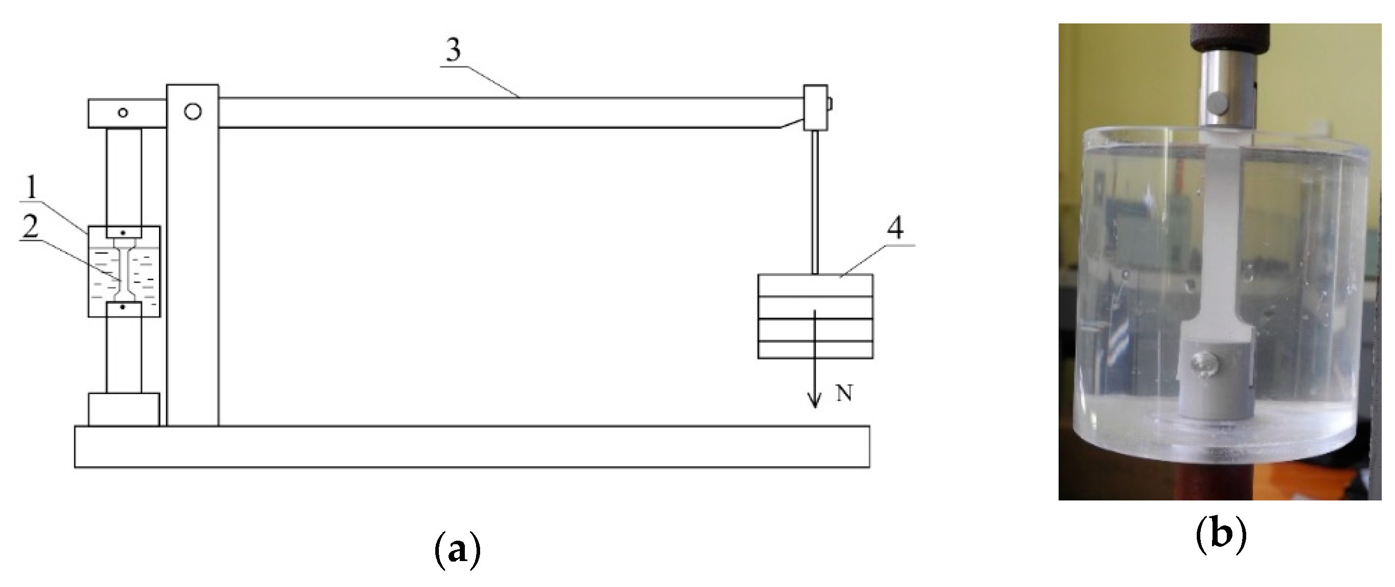 Materials 13 00356 g002