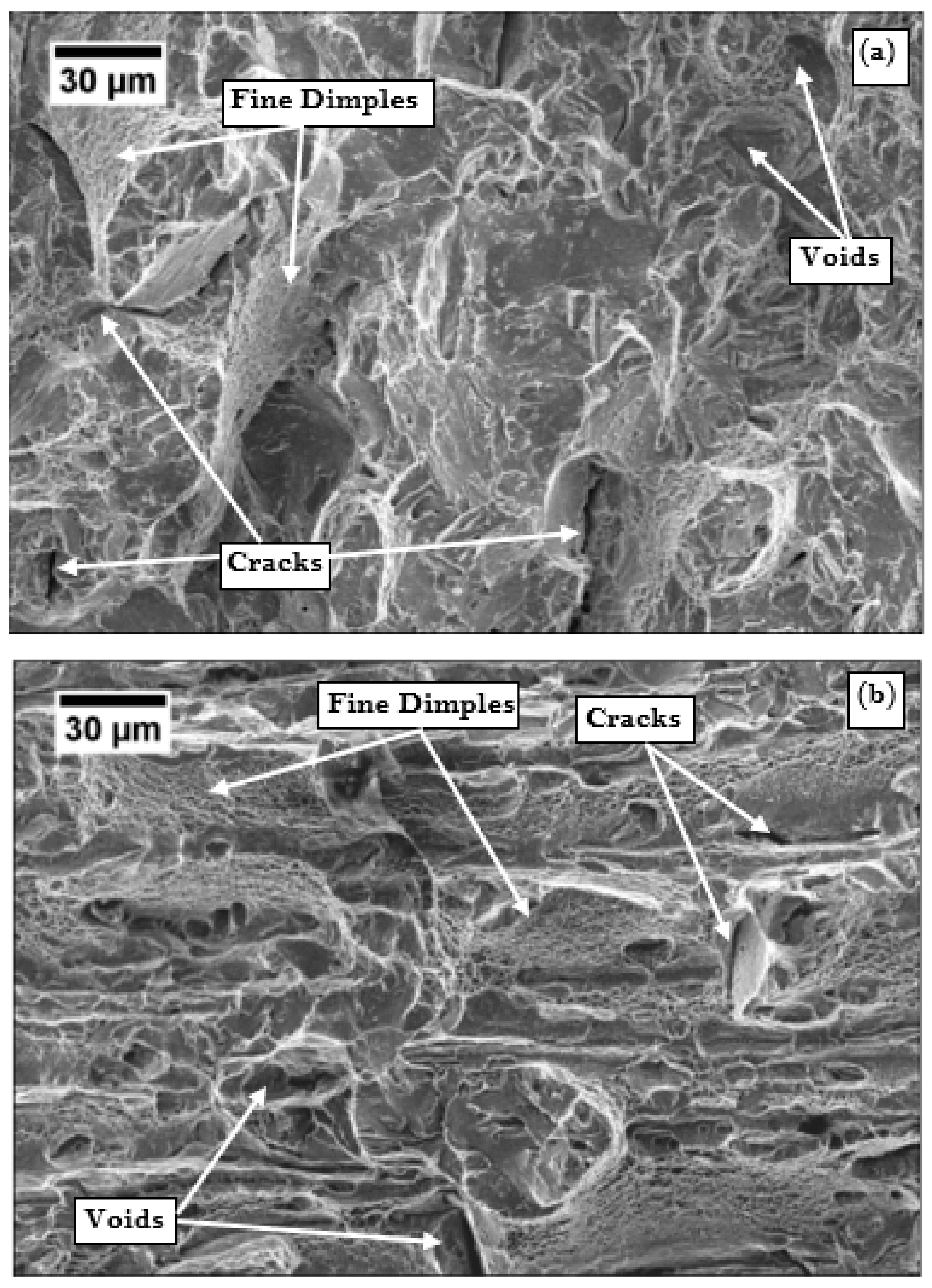 Materials 13 00436 g009a