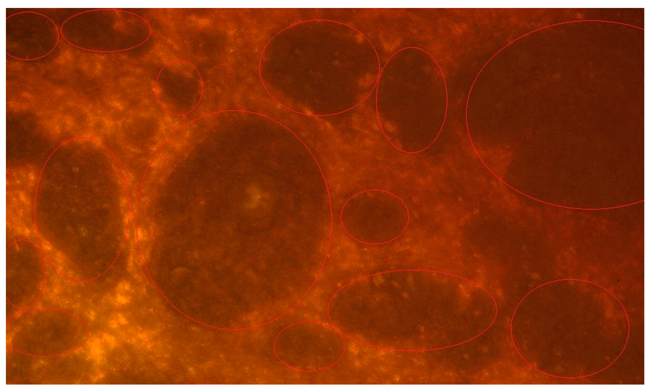 Materials 13 00447 g004