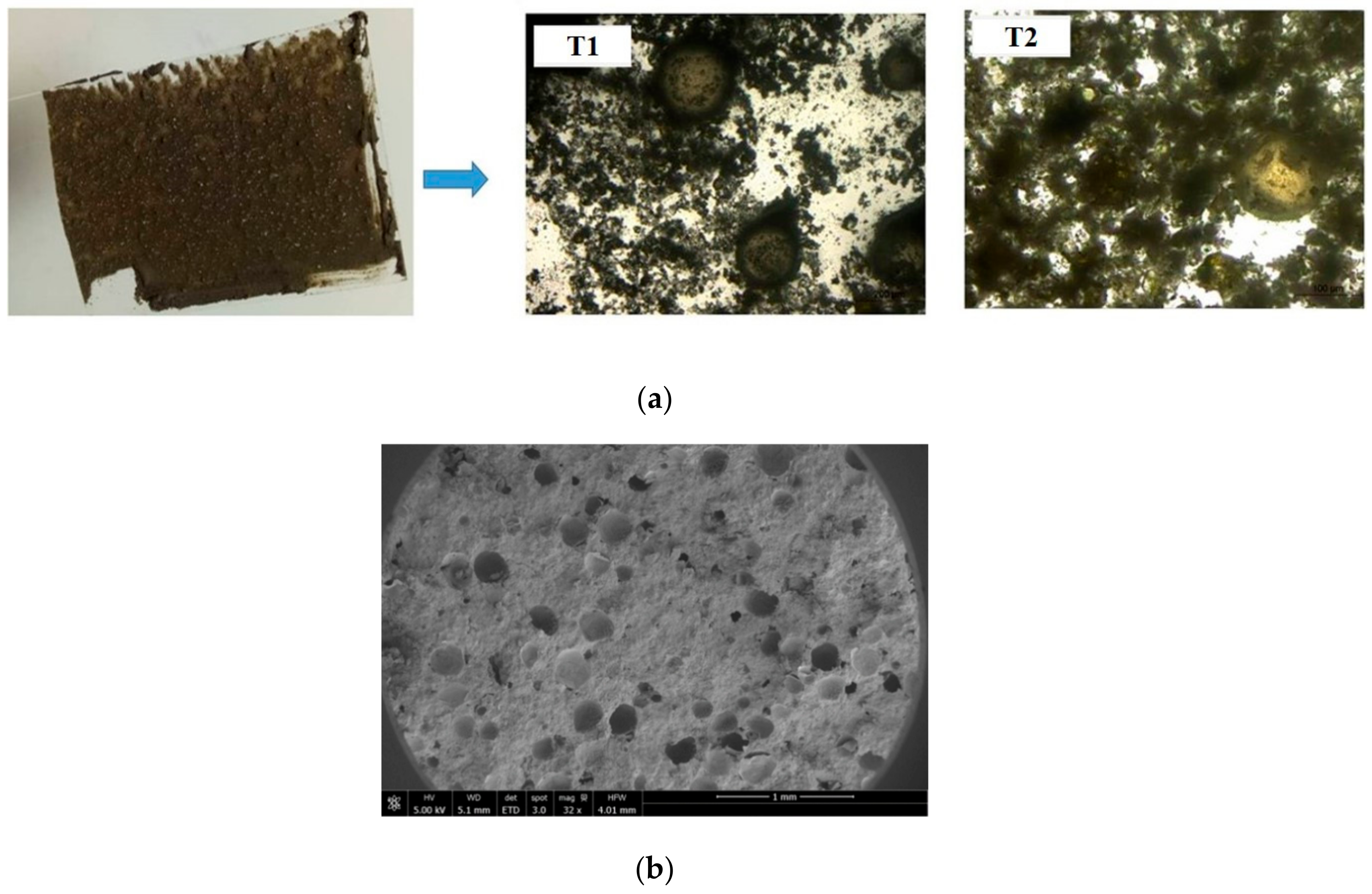 Materials 13 00456 g009a Materials 13 00456 g009a