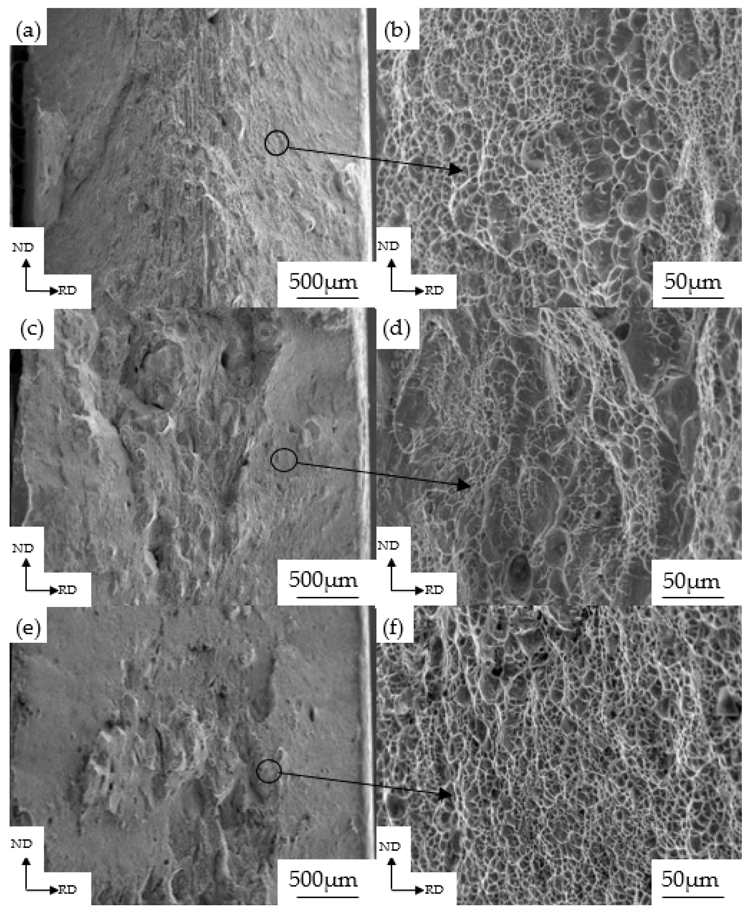 Materials 13 00459 g009