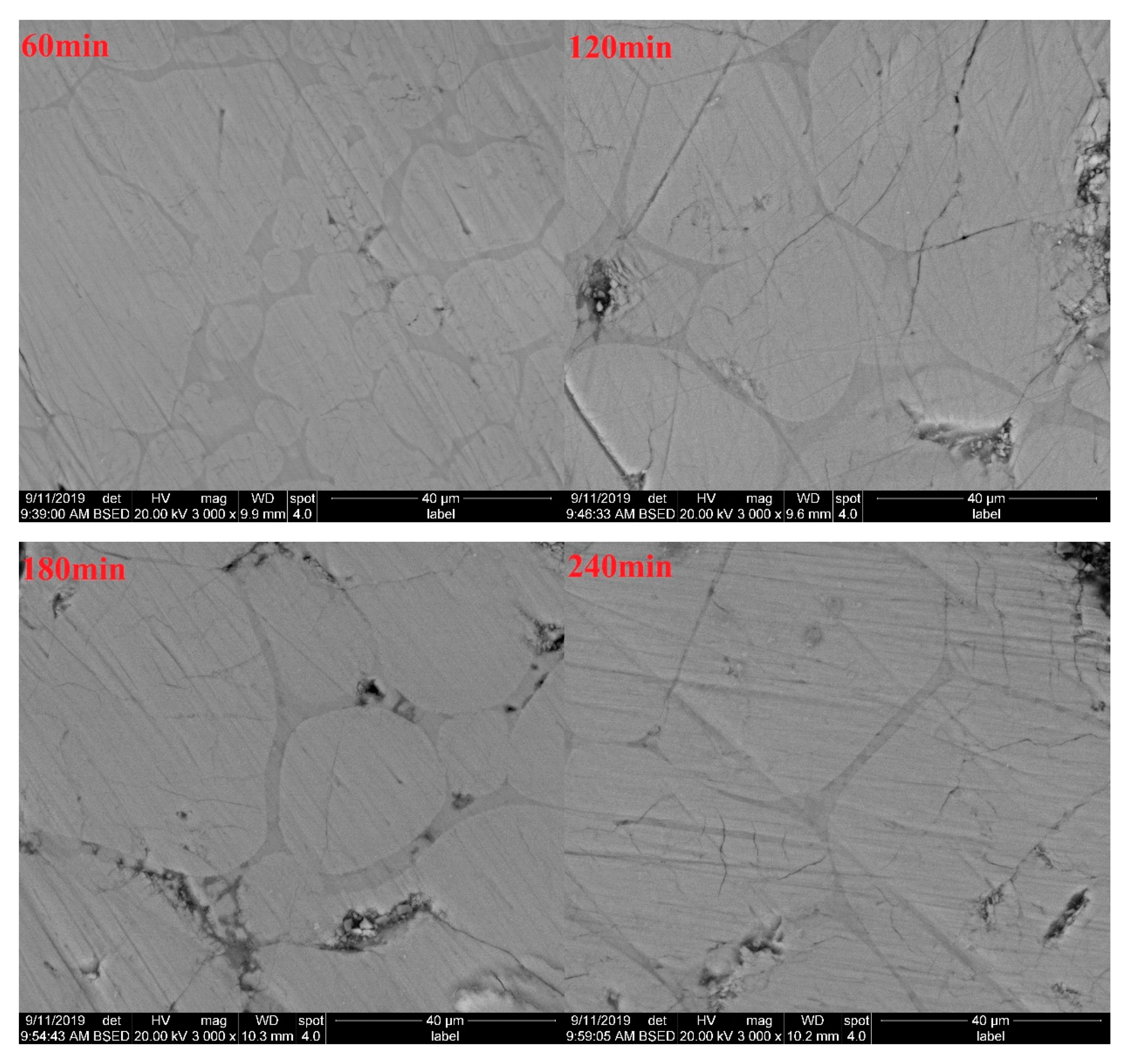 Materials 13 00494 g008 Materials 13 00494 g008
