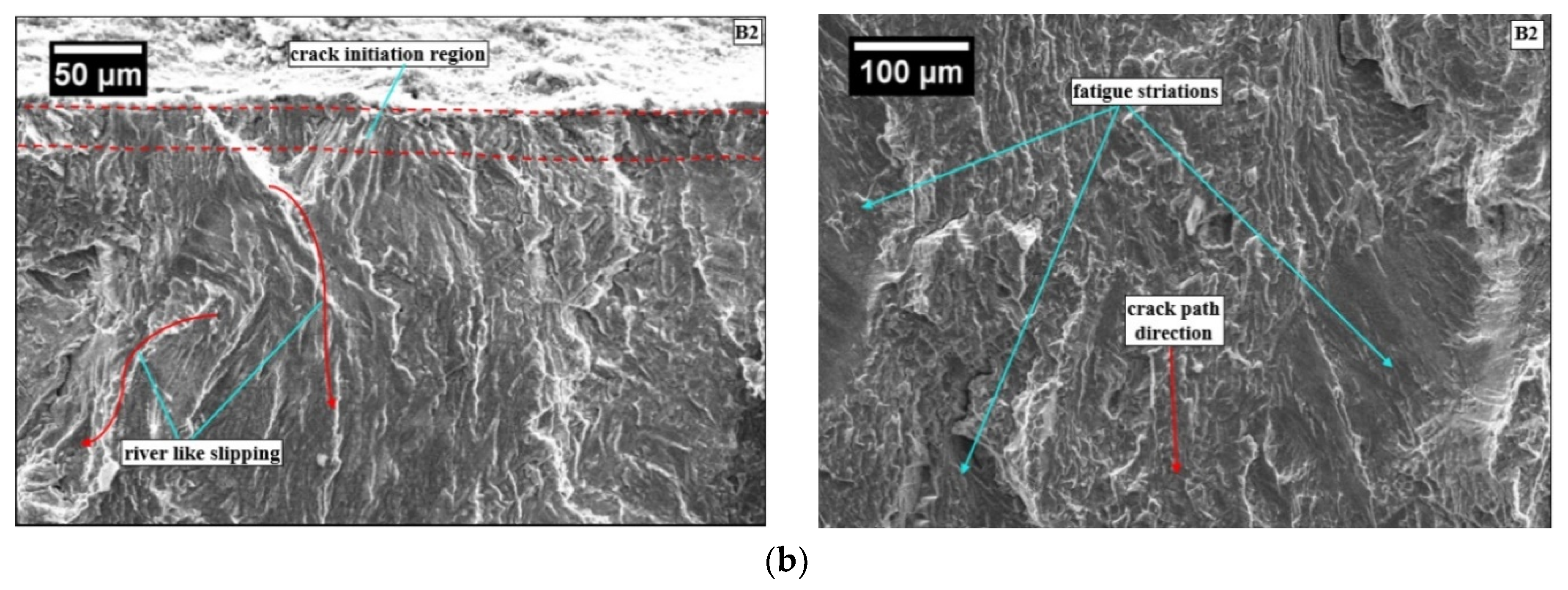 Materials 13 00500 g007b
