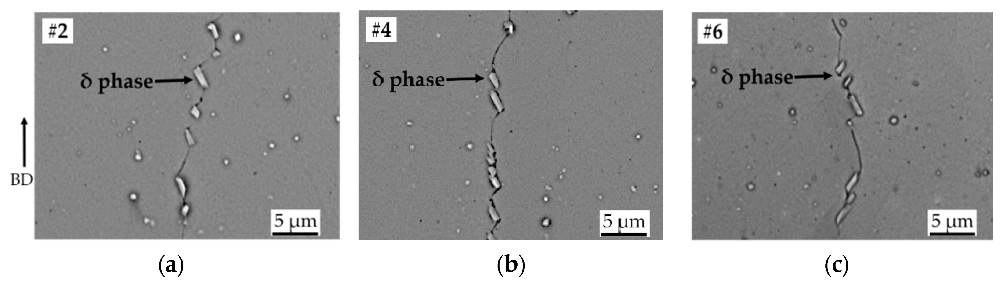 Materials 13 00536 g005