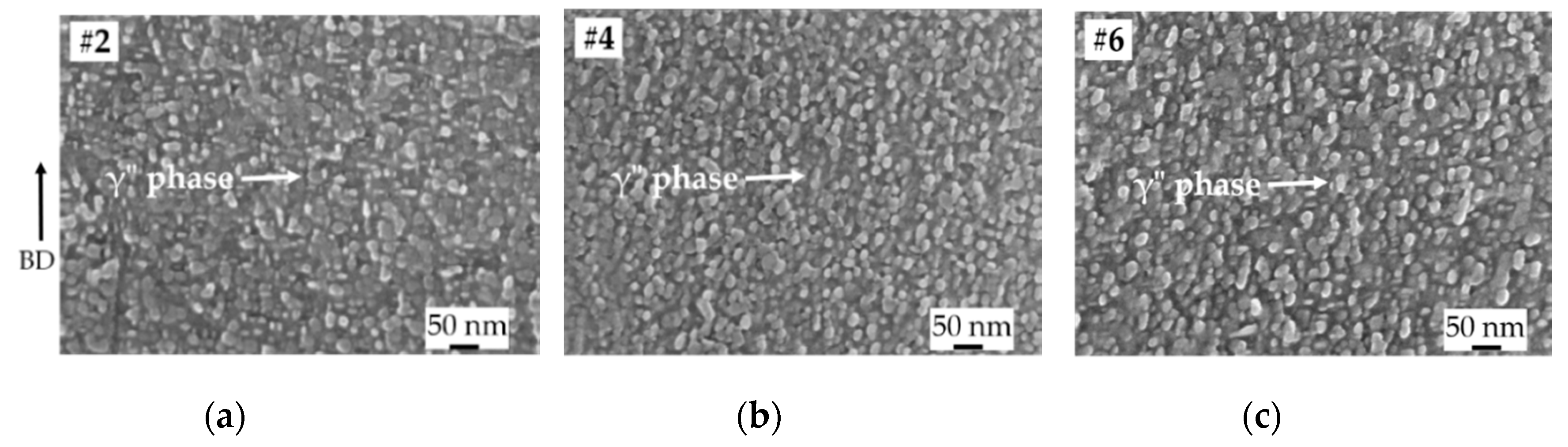 Materials 13 00536 g006