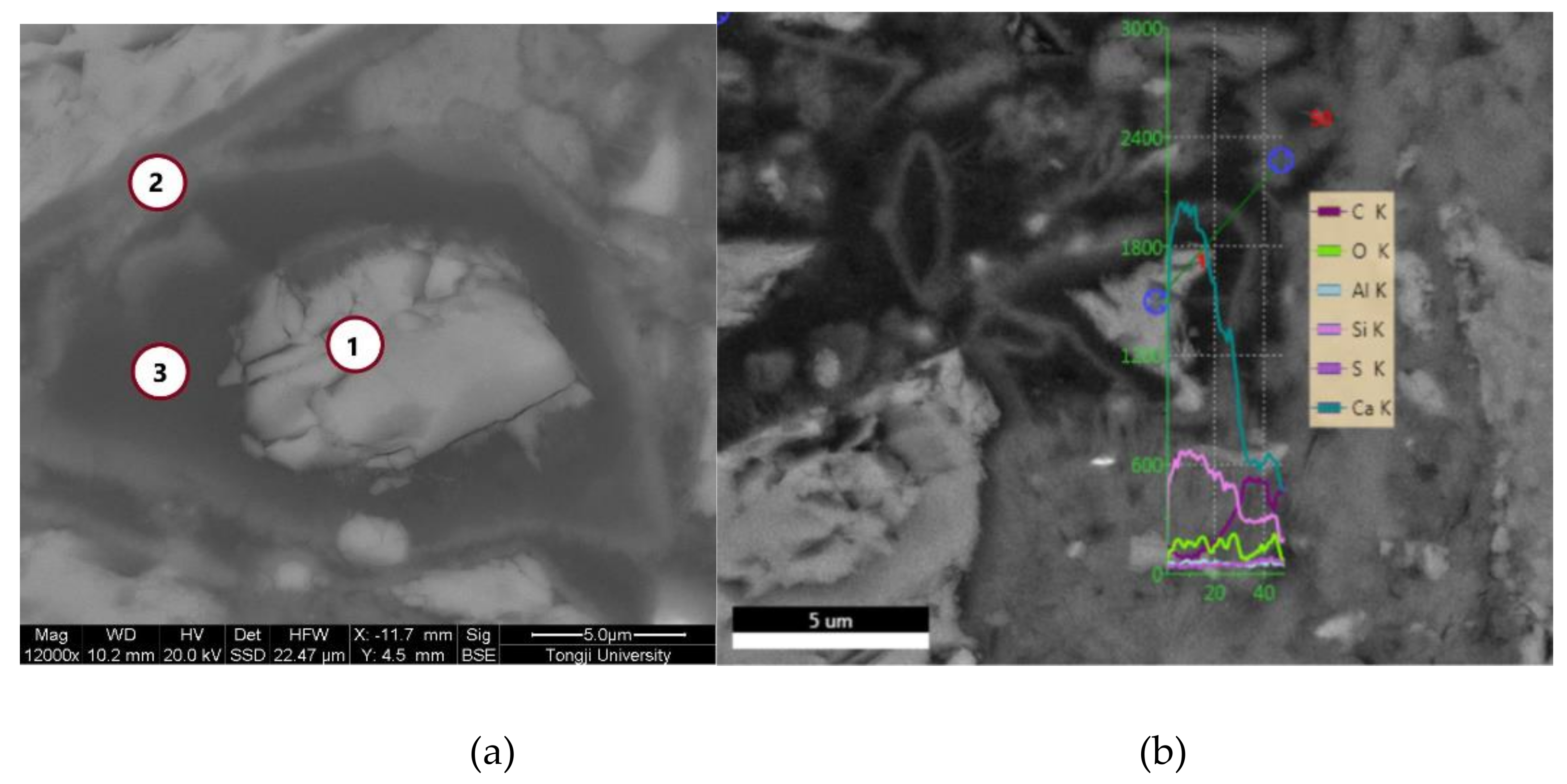 Materials 13 00589 g001 Materials 13 00589 g001