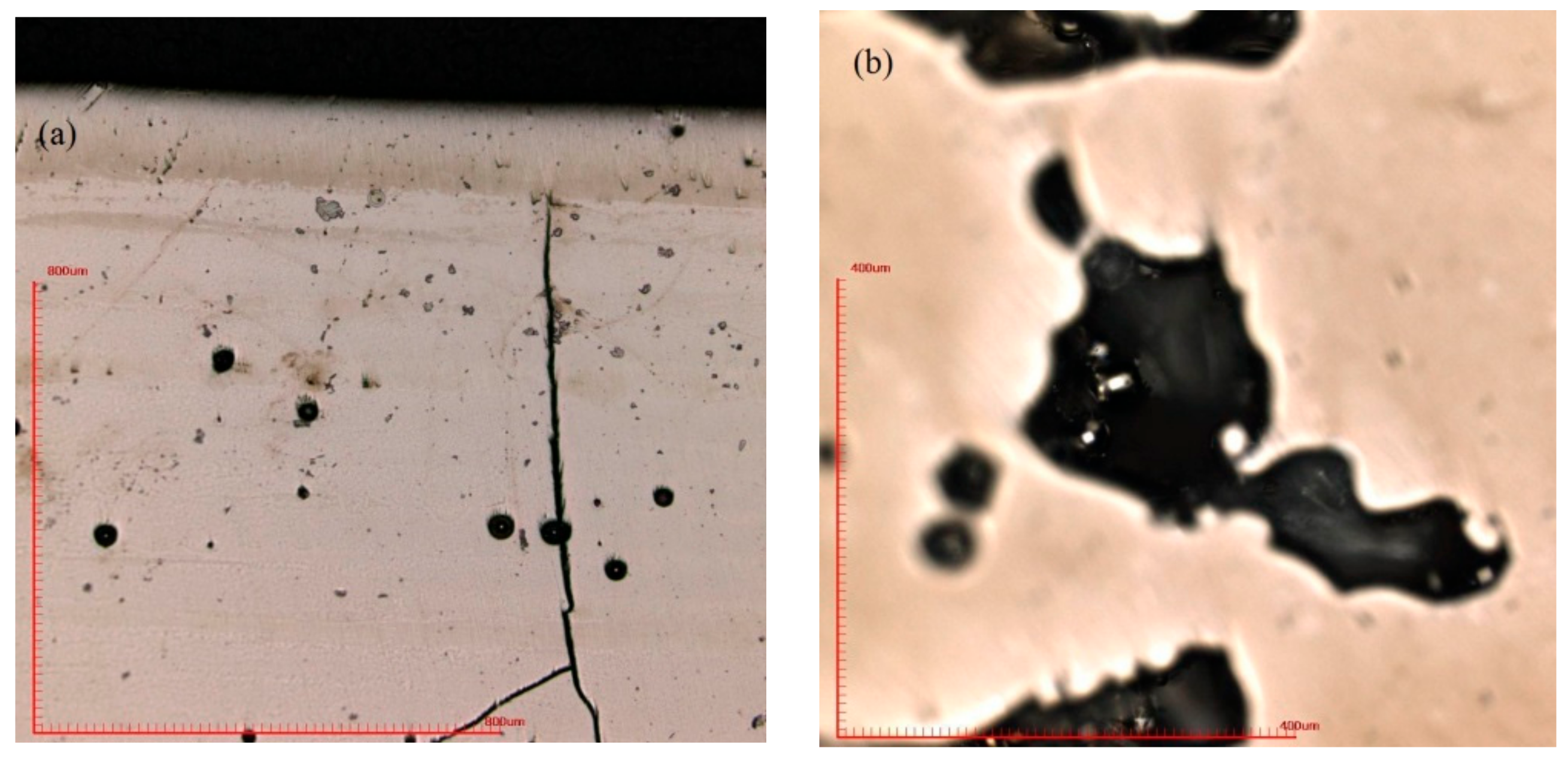 Materials 13 00597 g006