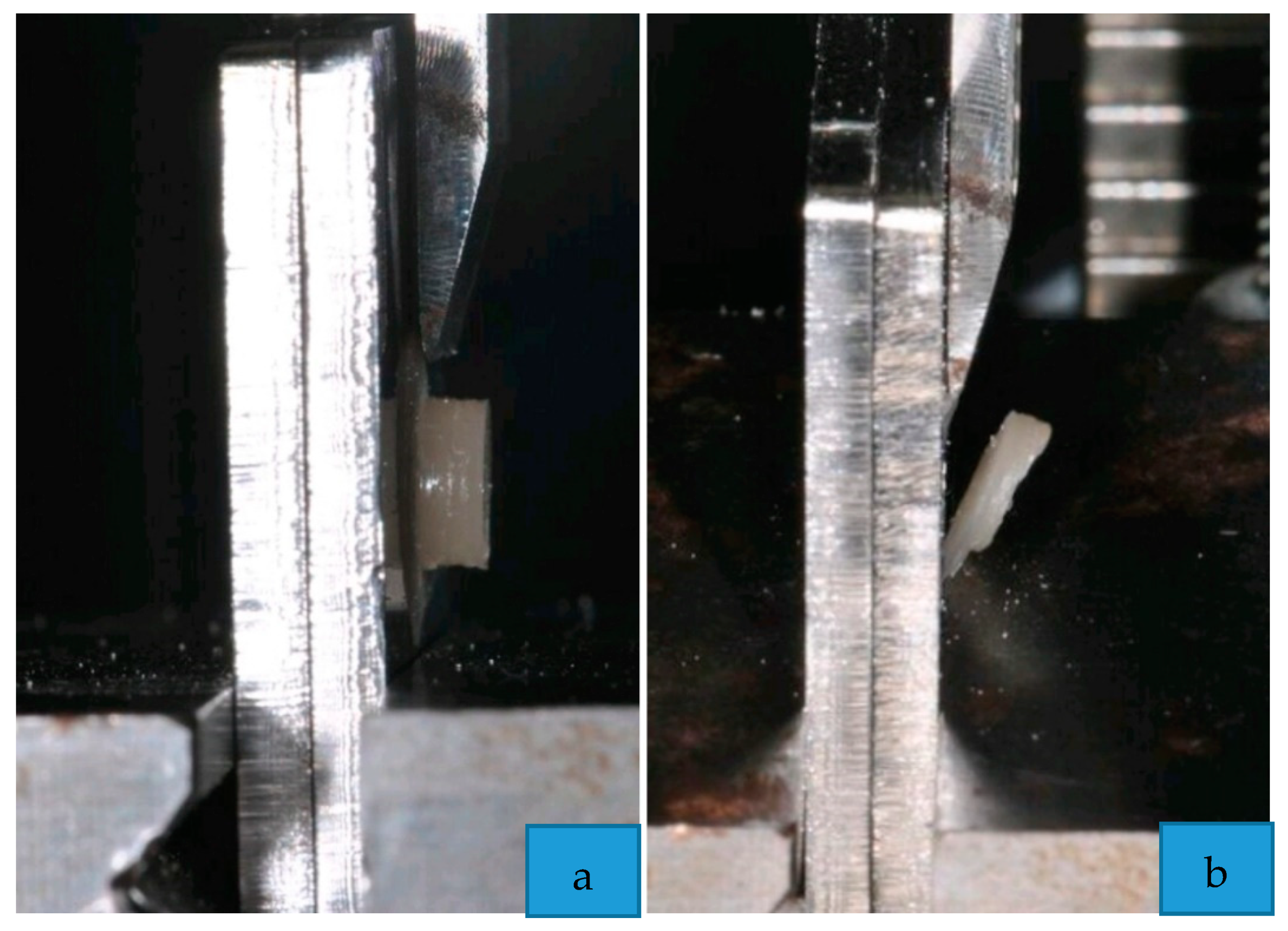 Materials 13 00652 g003